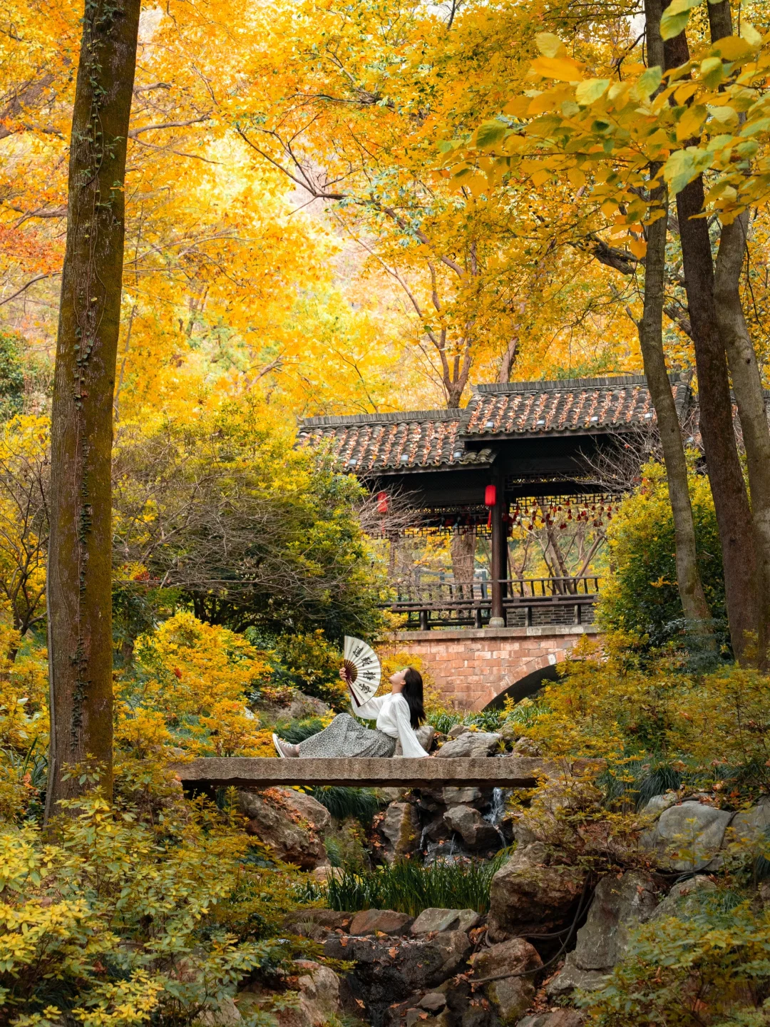 高铁直达，我找到了避世小镇里的江南秋色🍁