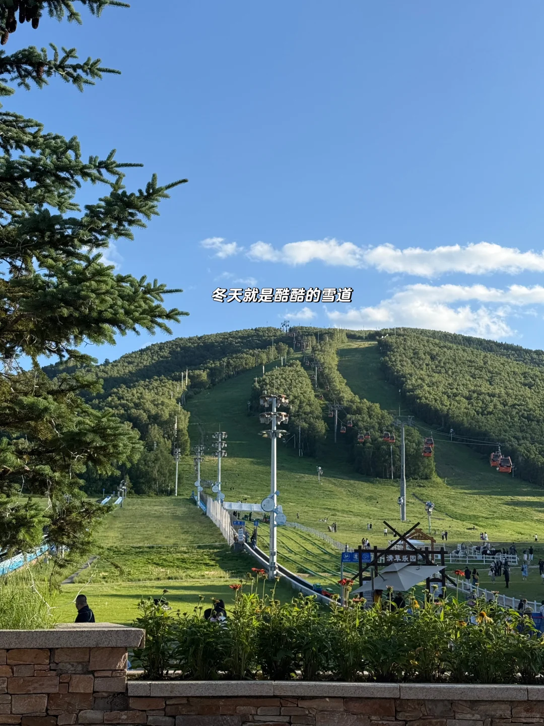 去一趟崇礼，感受20度的夏天