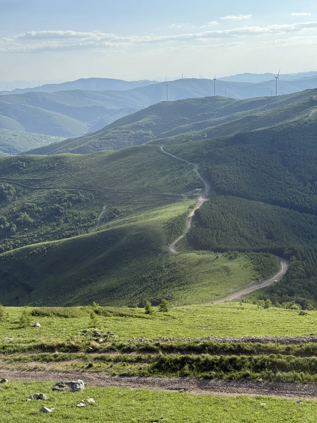 去一趟崇礼，感受20度的夏天