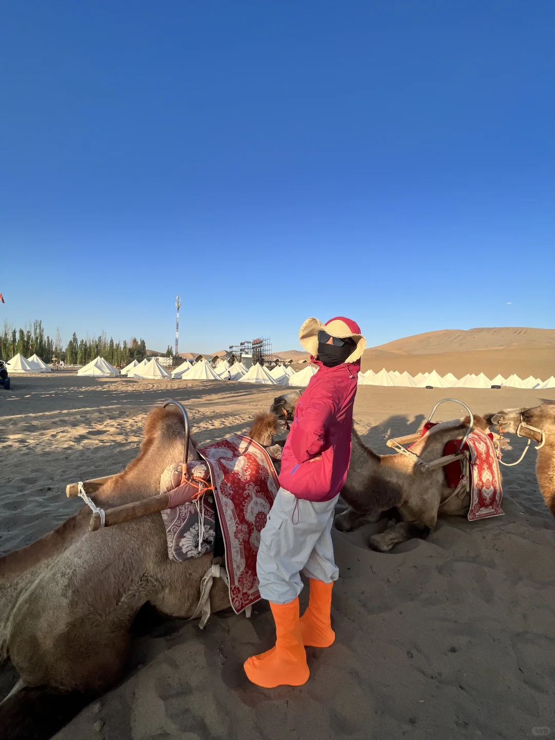 西北旅游攻略！！超详细篇