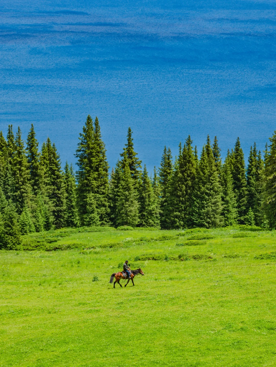 为了这18张照片，我特意飞了一趟新疆伊犁❗