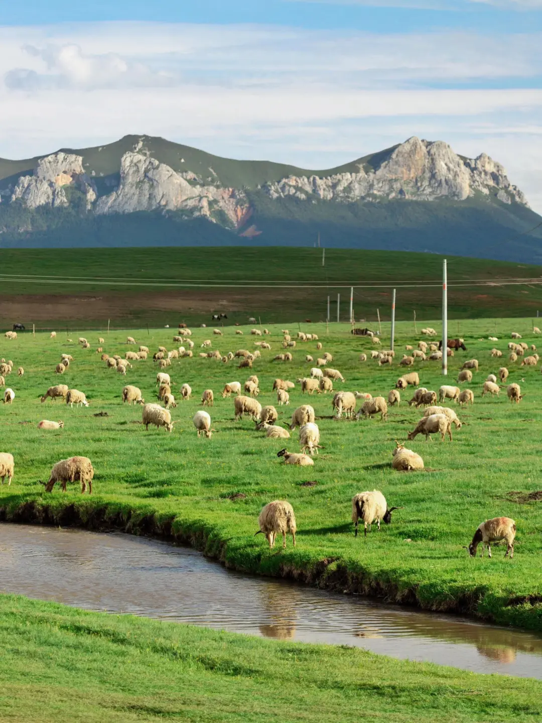 甘南5天4晚封神之旅！