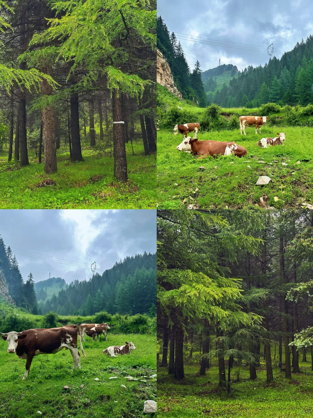 带娃❗️石家庄出发➡️忻州3天2晚自驾攻略✅