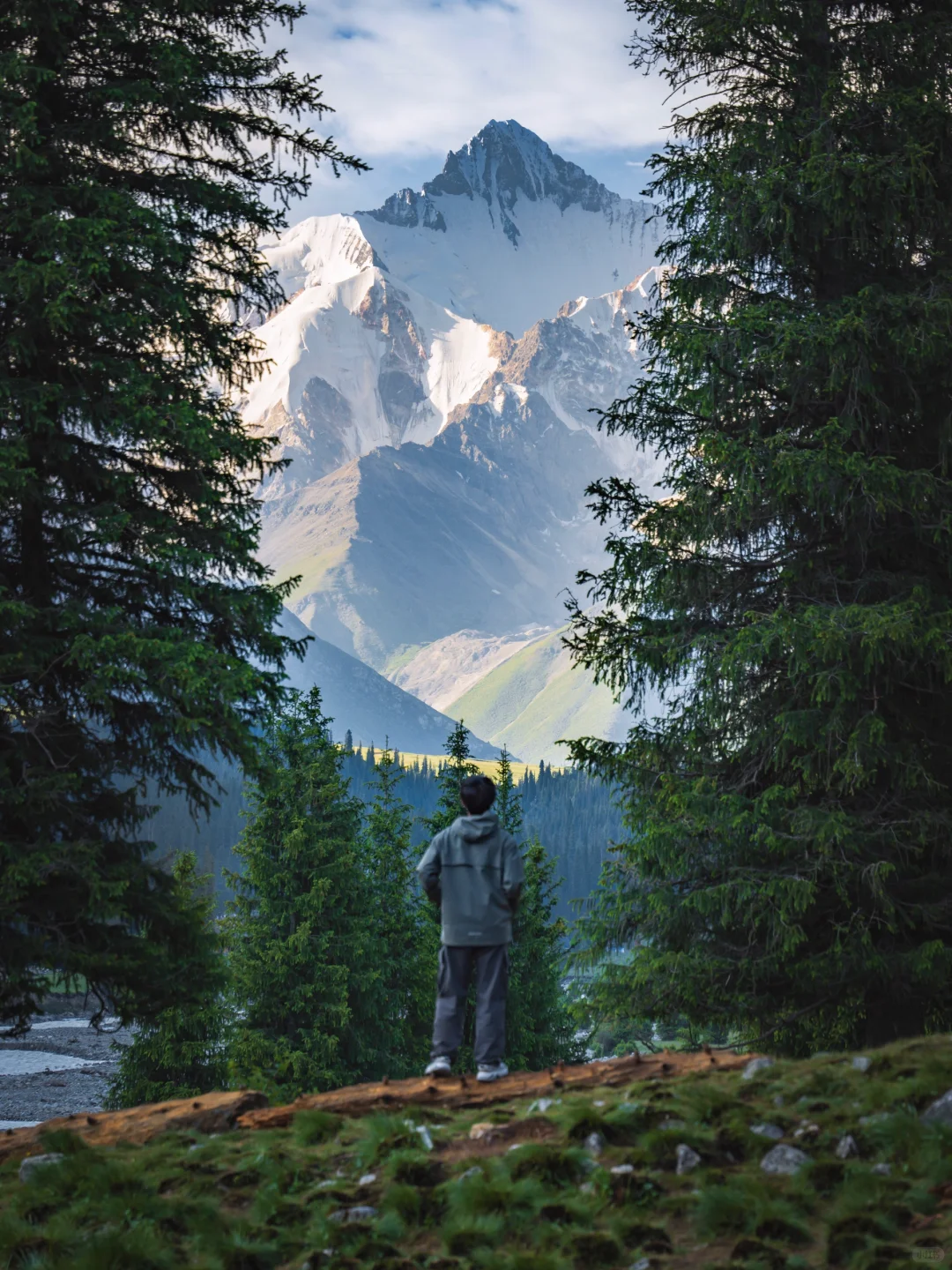 为了这18张照片，我特意飞了一趟新疆伊犁❗
