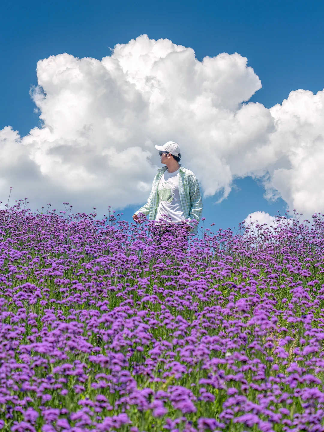 东北避暑！今年去过最冷门的城市！