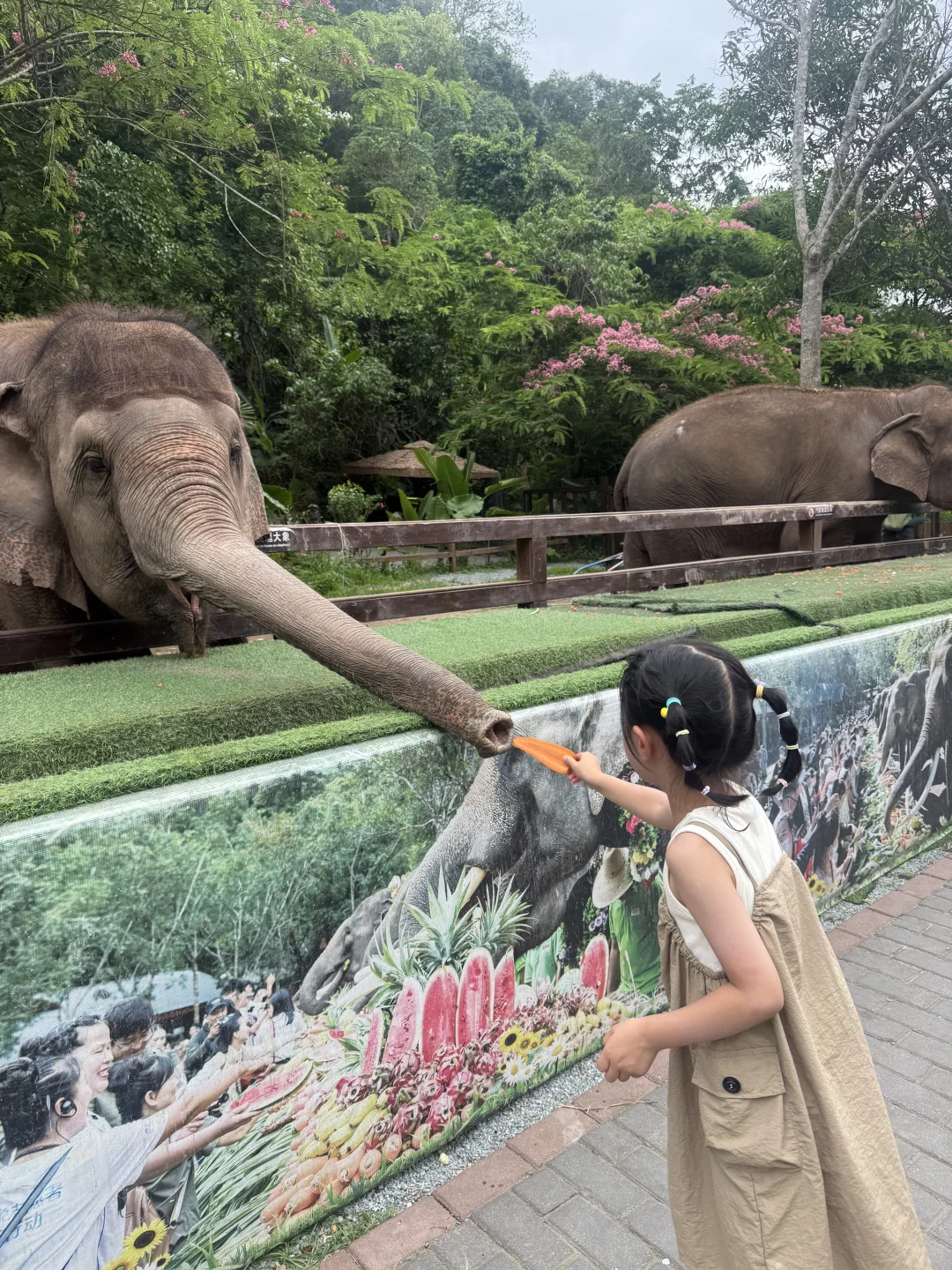 西双版纳亲子游没踩坑❗️带娃不累