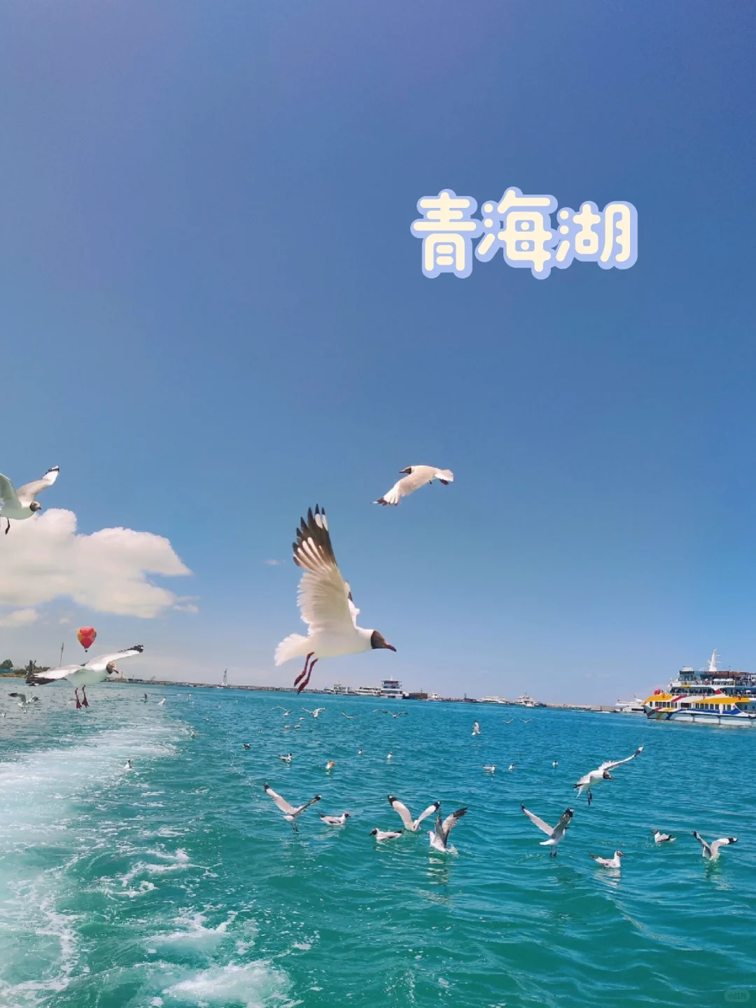 4-8月|青海也太适合大学生穷游了吧🚩