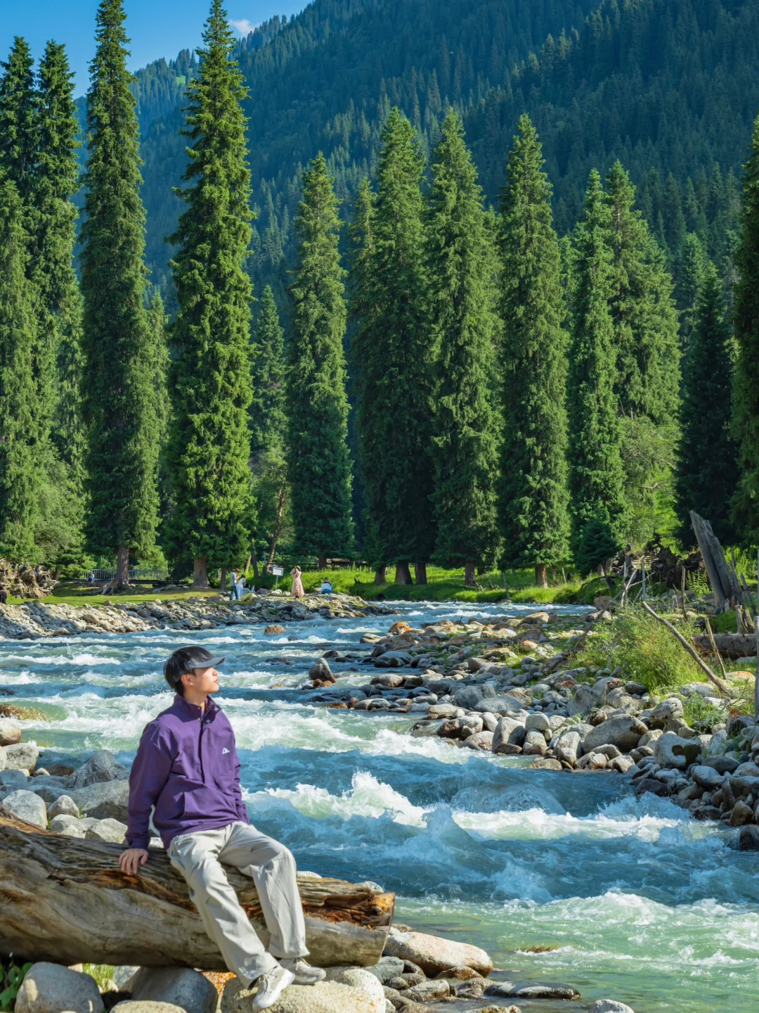 为了这18张照片，我特意飞了一趟新疆伊犁❗