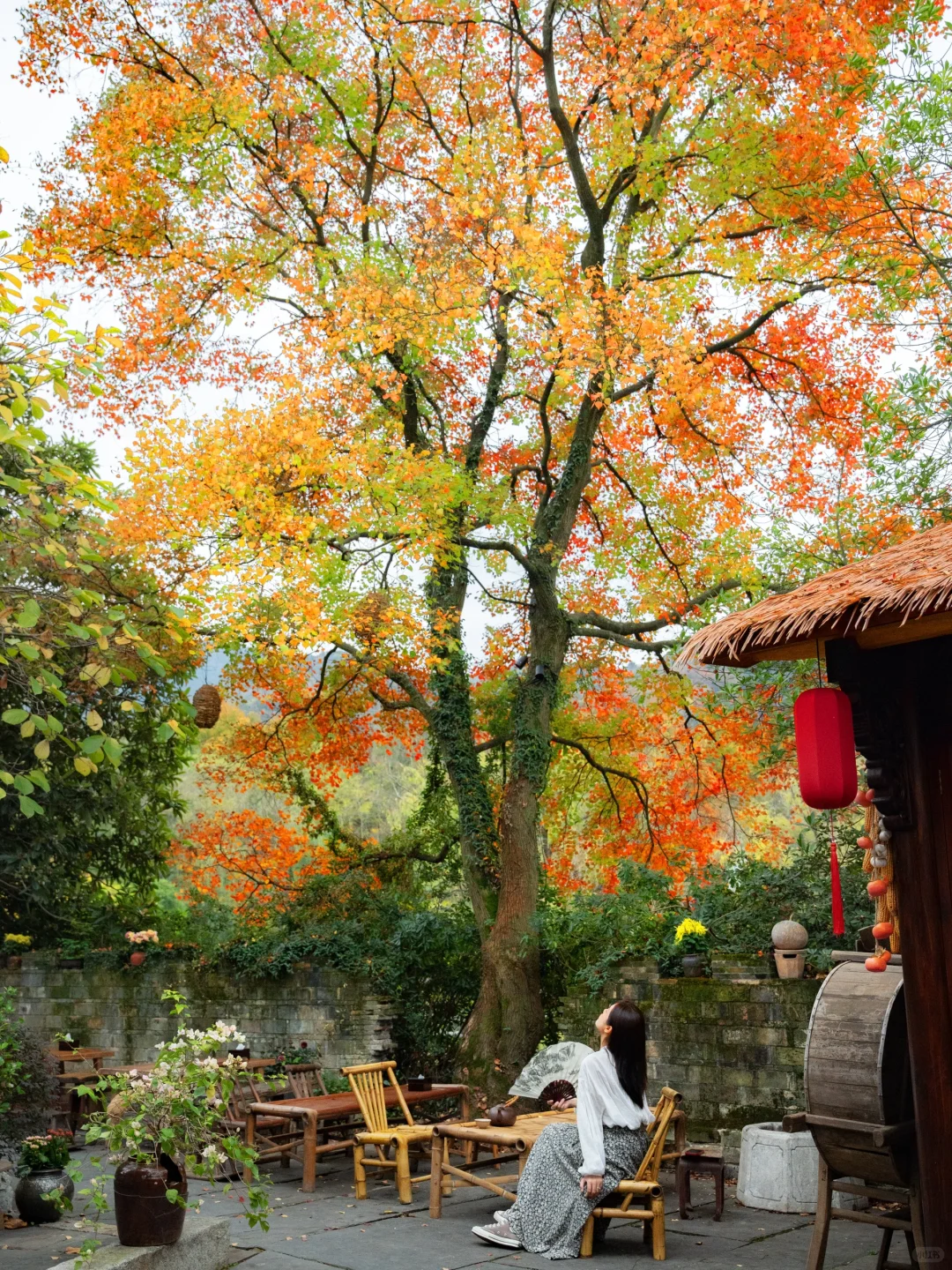 高铁直达，我找到了避世小镇里的江南秋色🍁