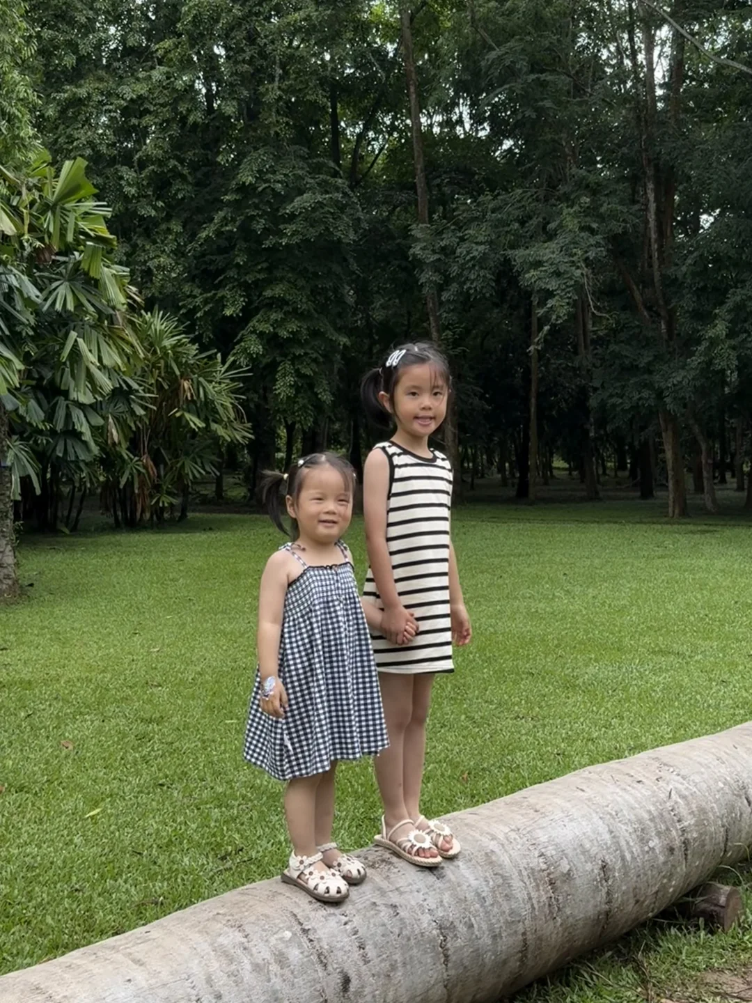 西双版纳亲子游没踩坑❗️带娃不累