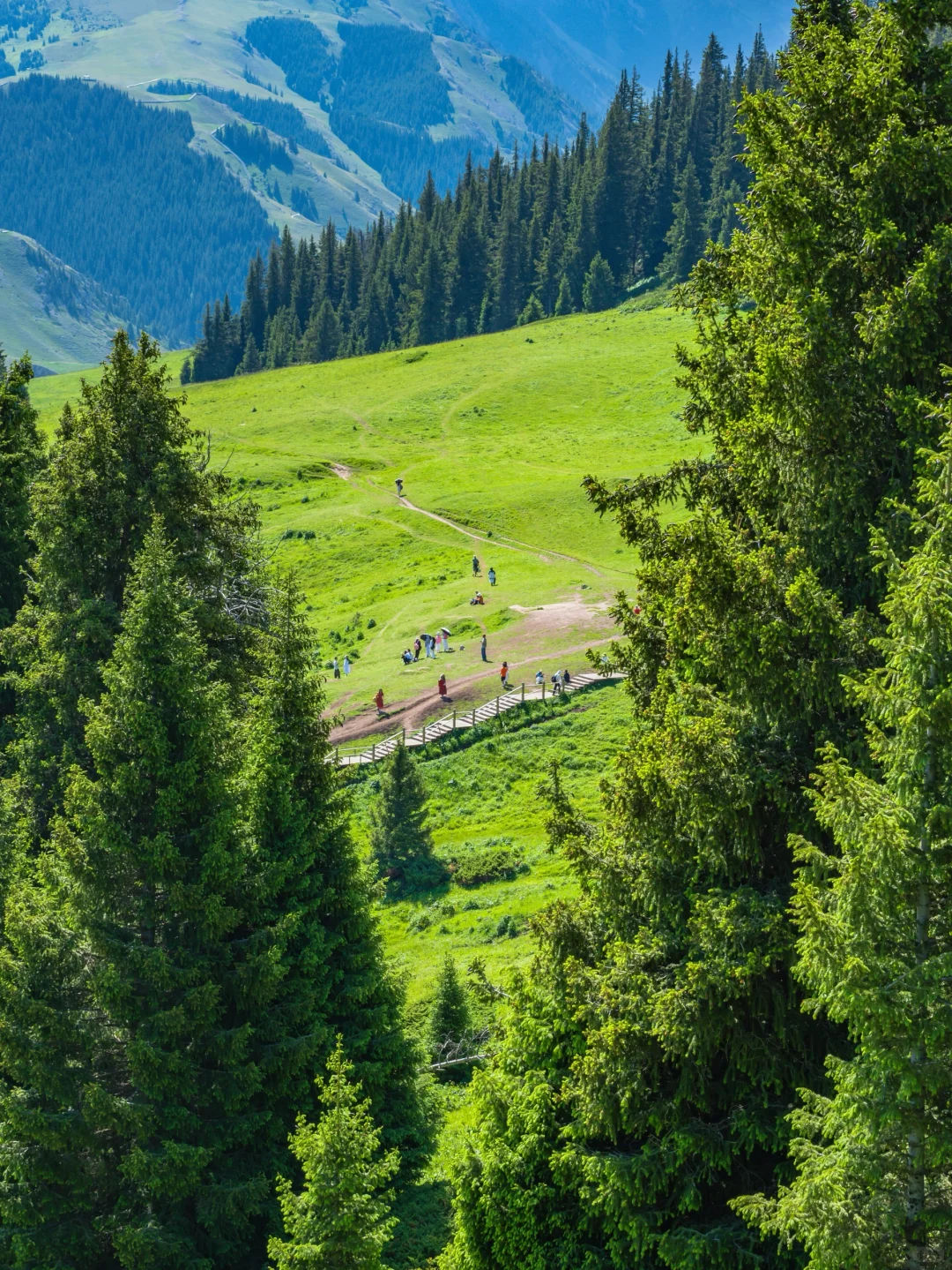 为了这18张照片，我特意飞了一趟新疆伊犁❗