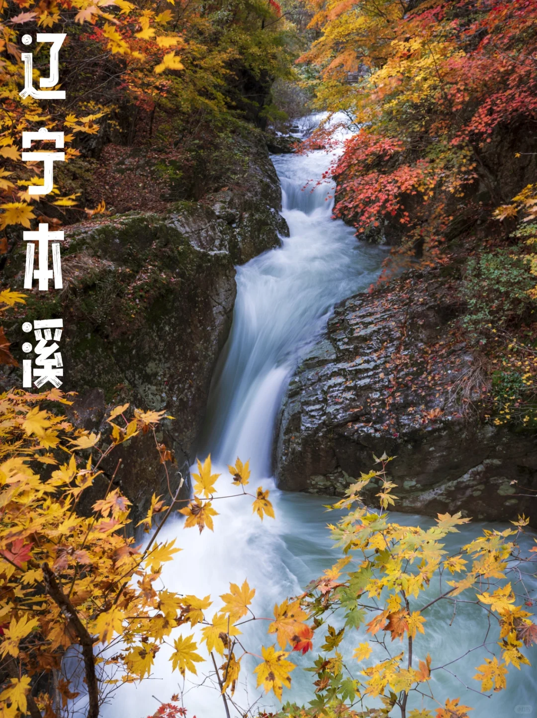 收集2025年秋天必去的几个地方（先存着）