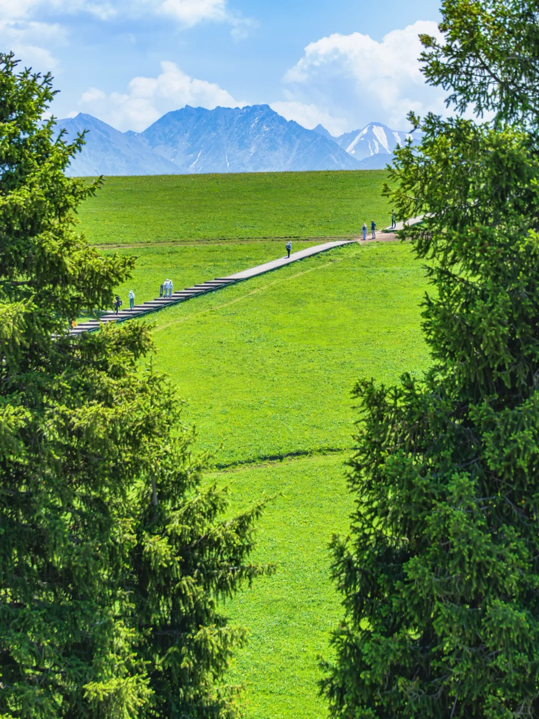 为了这18张照片，我特意飞了一趟新疆伊犁❗