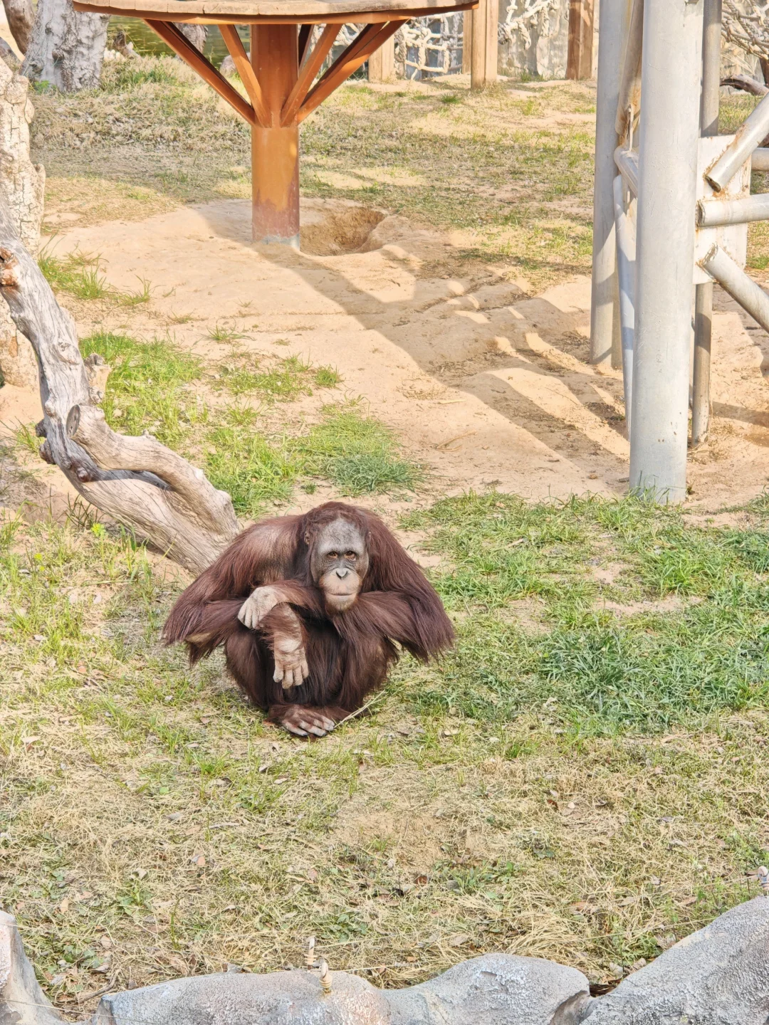 邯郸到郑州银基动物园两天一夜