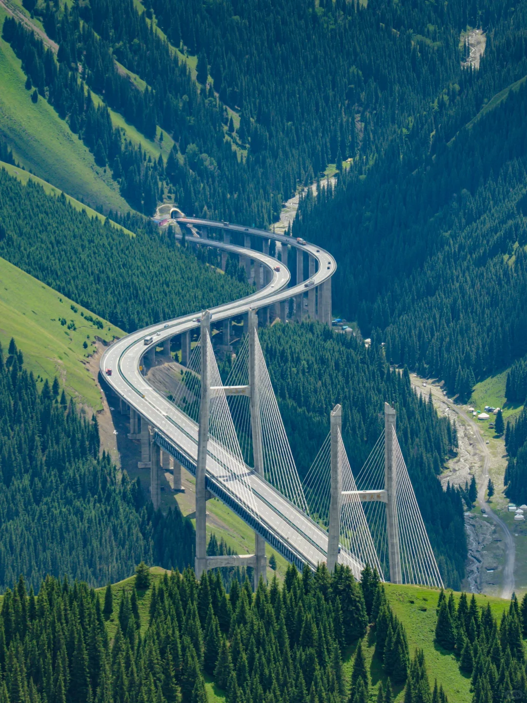 为了这18张照片，我特意飞了一趟新疆伊犁❗