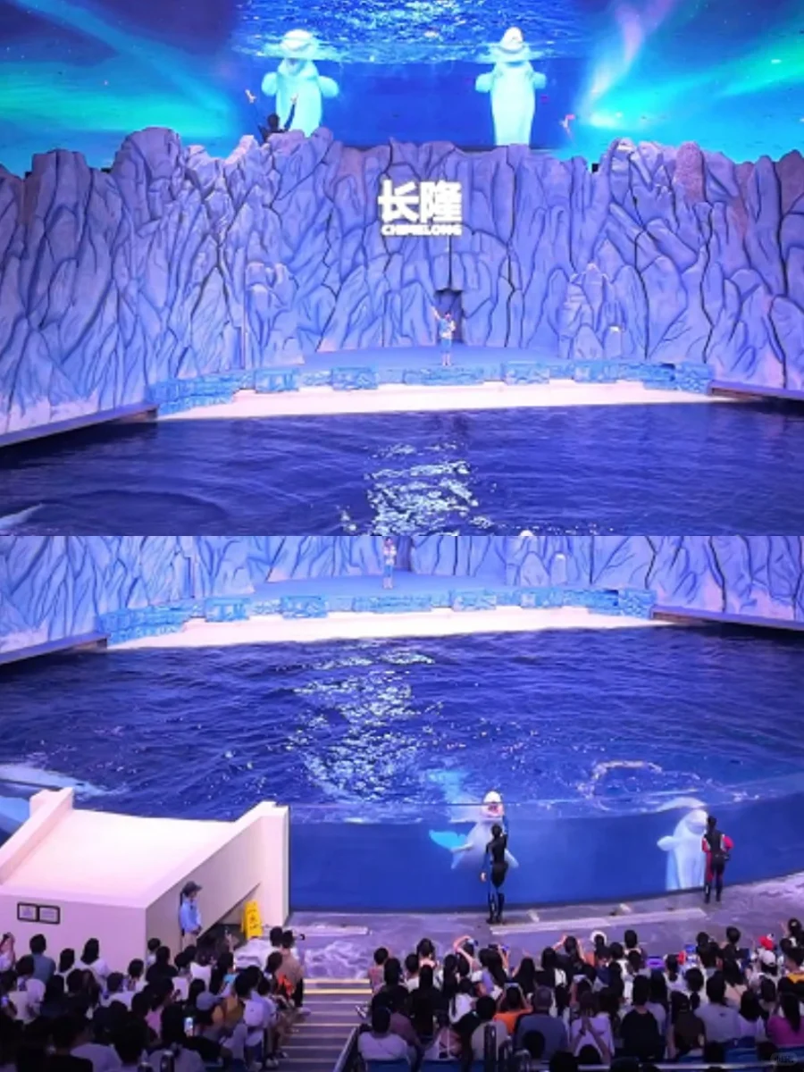 珠海长隆住宿+海洋王国798两大两小🍑总结