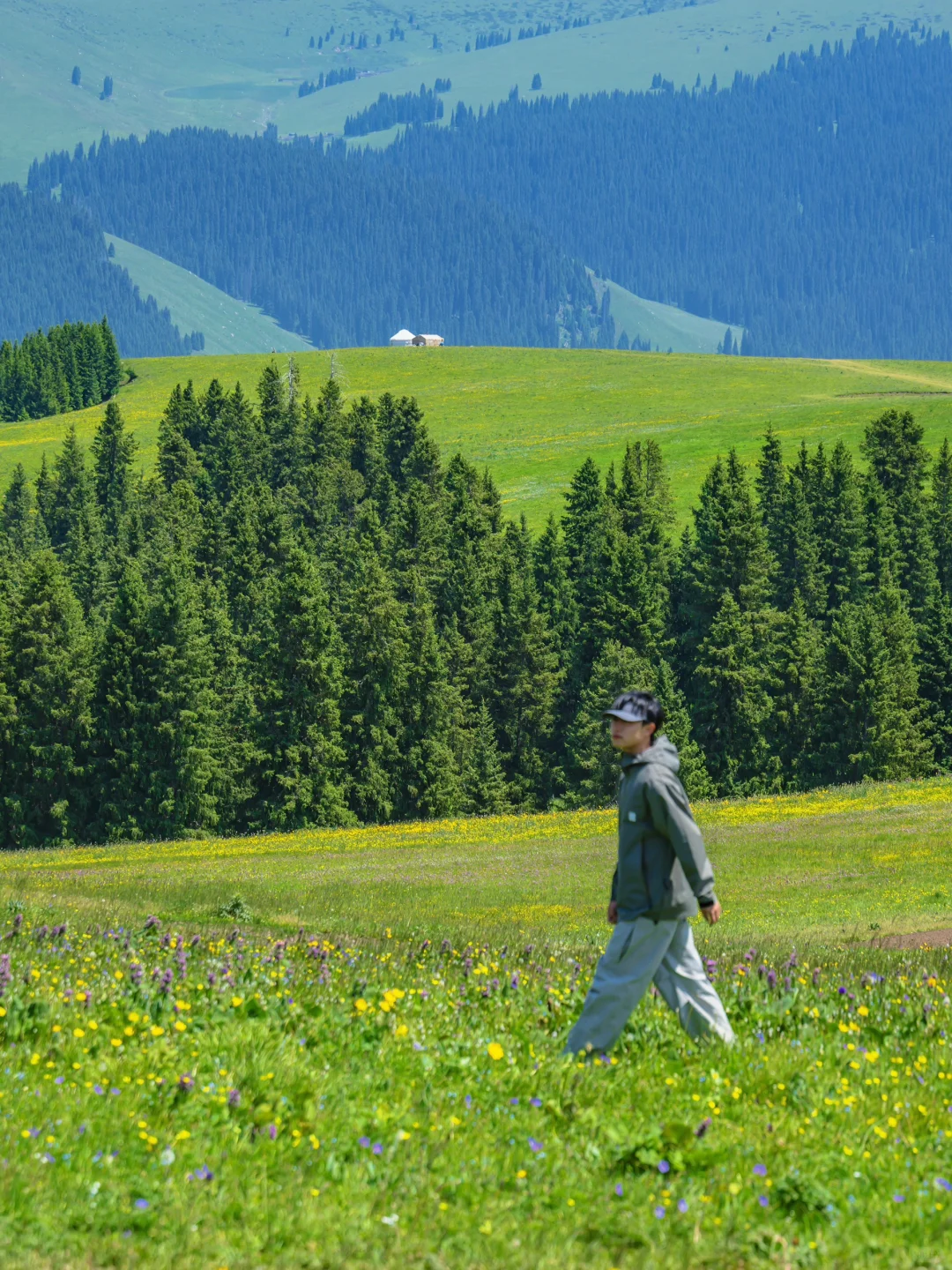 为了这18张照片，我特意飞了一趟新疆伊犁❗