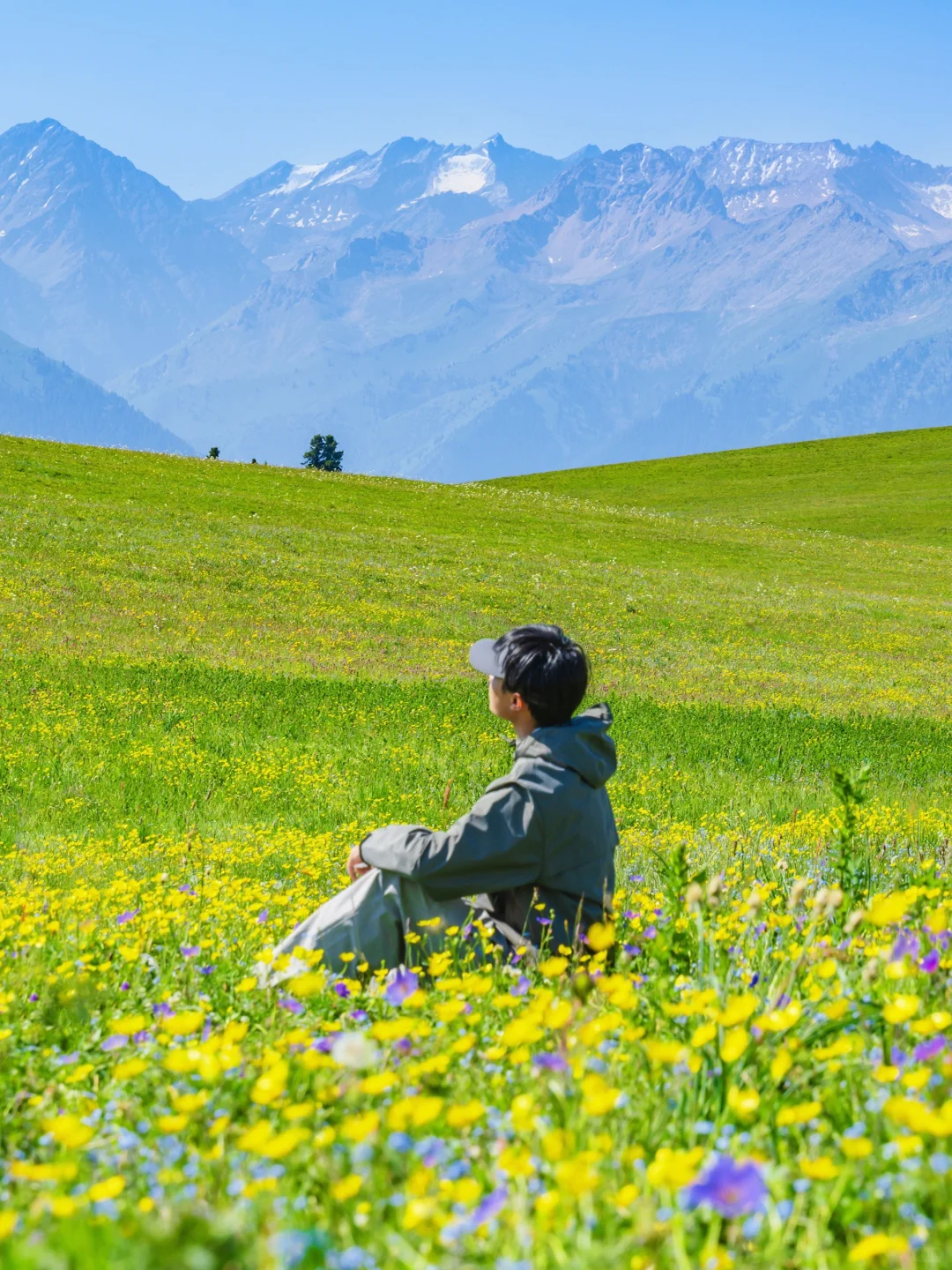 为了这18张照片，我特意飞了一趟新疆伊犁❗