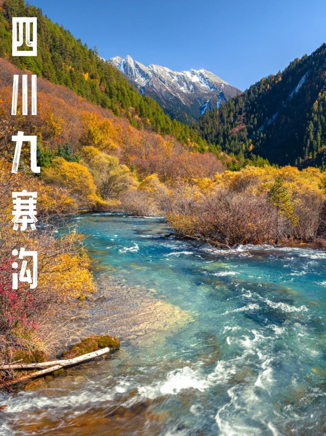 收集2025年秋天必去的几个地方（先存着）