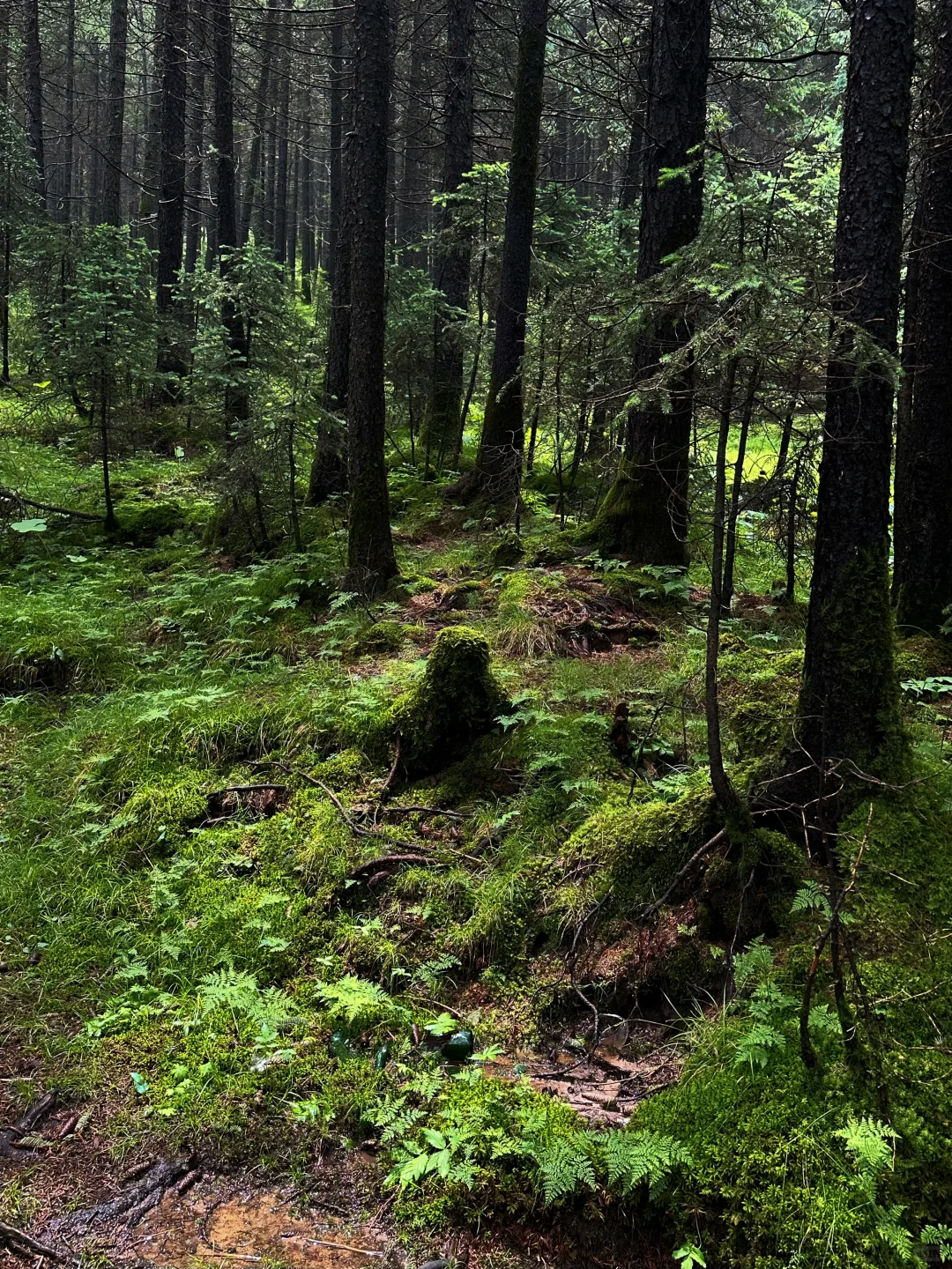 带娃❗️石家庄出发➡️忻州3天2晚自驾攻略✅