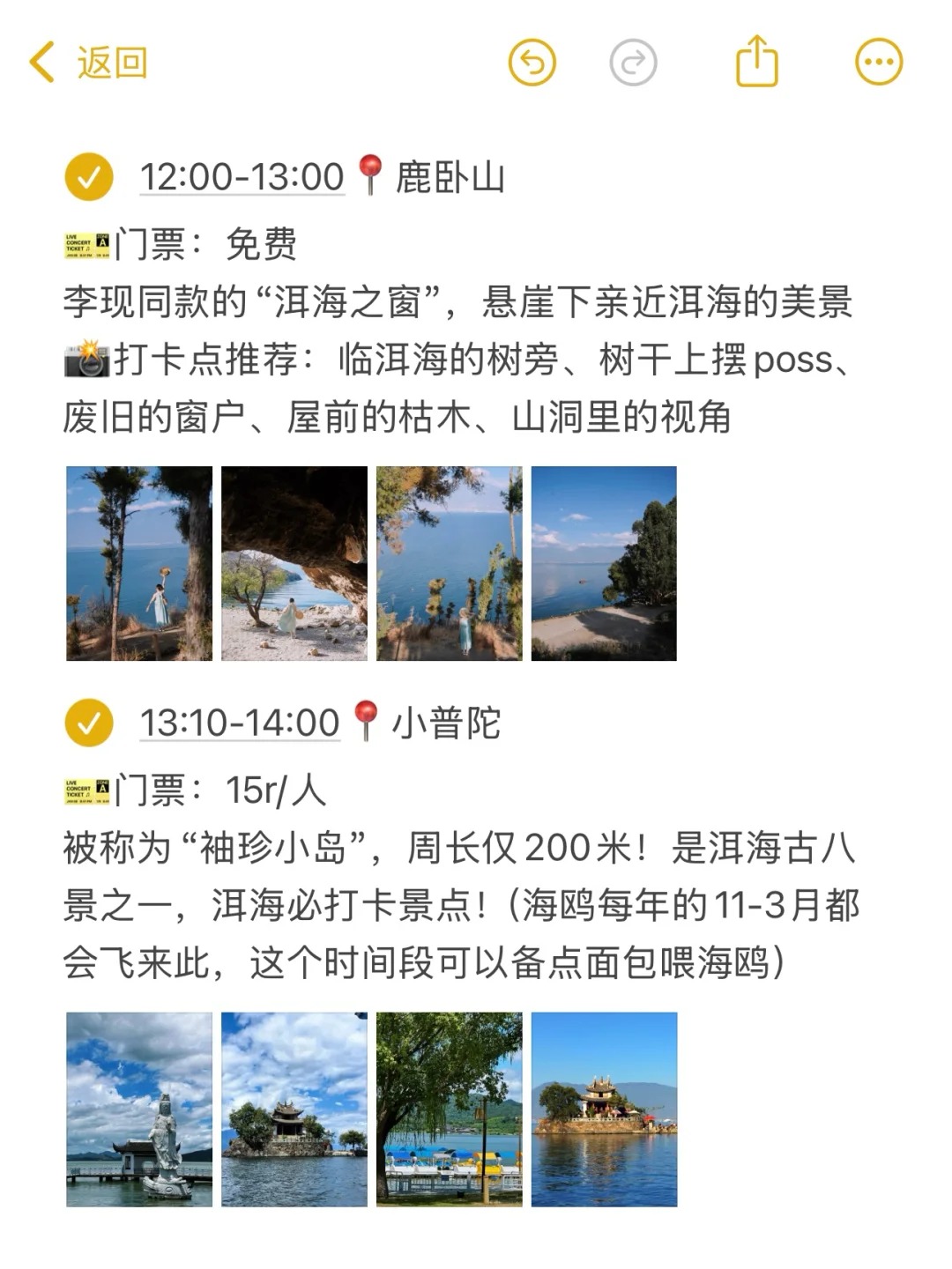 本J人对自己做的大理旅游攻略甚是满意🥹