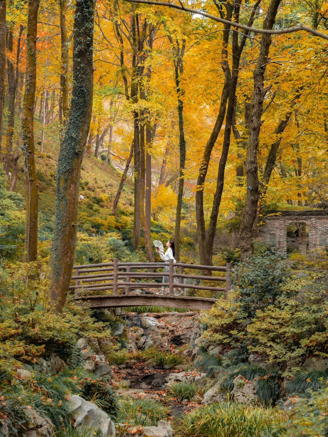 高铁直达，我找到了避世小镇里的江南秋色🍁