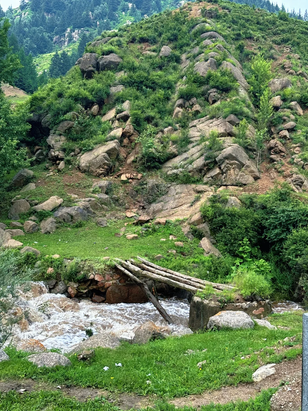 带娃❗️石家庄出发➡️忻州3天2晚自驾攻略✅