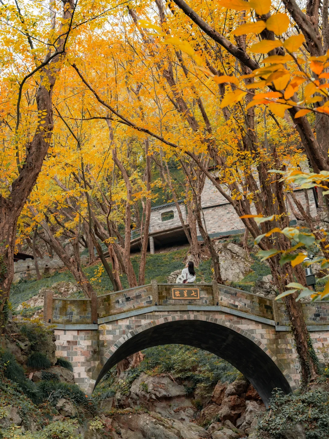 高铁直达，我找到了避世小镇里的江南秋色🍁