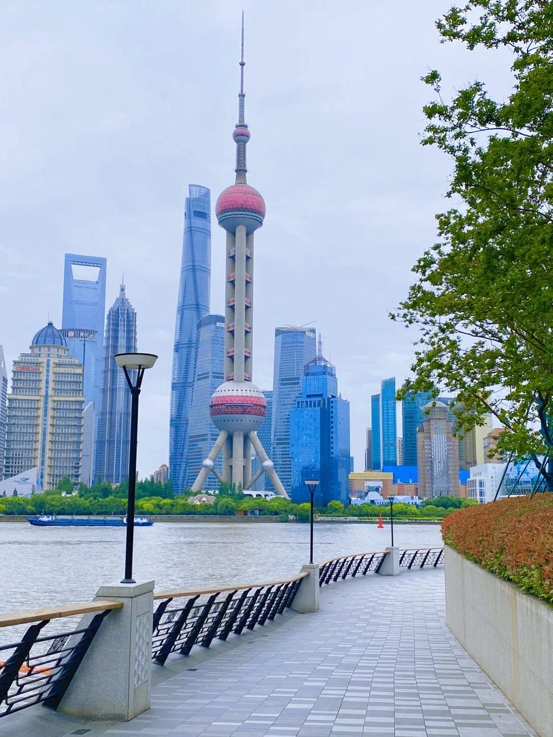 迄今为止，我最喜欢的城市出现了……