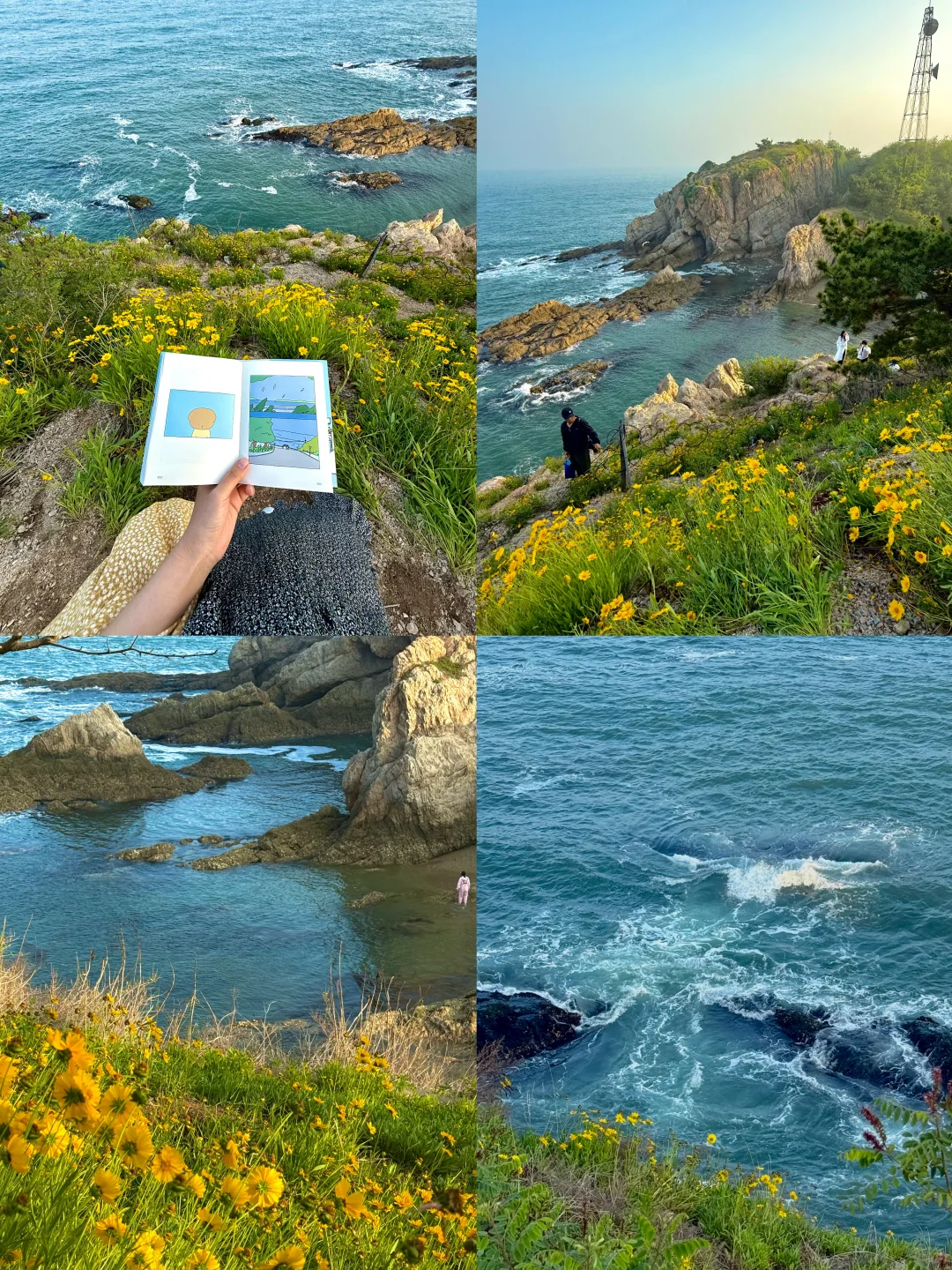 迄今为止，我最喜欢的滨海城市出现了…