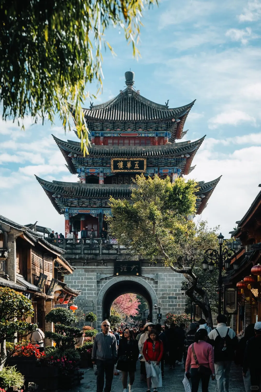 这个暑假，一定要来云南感受一下四季如春