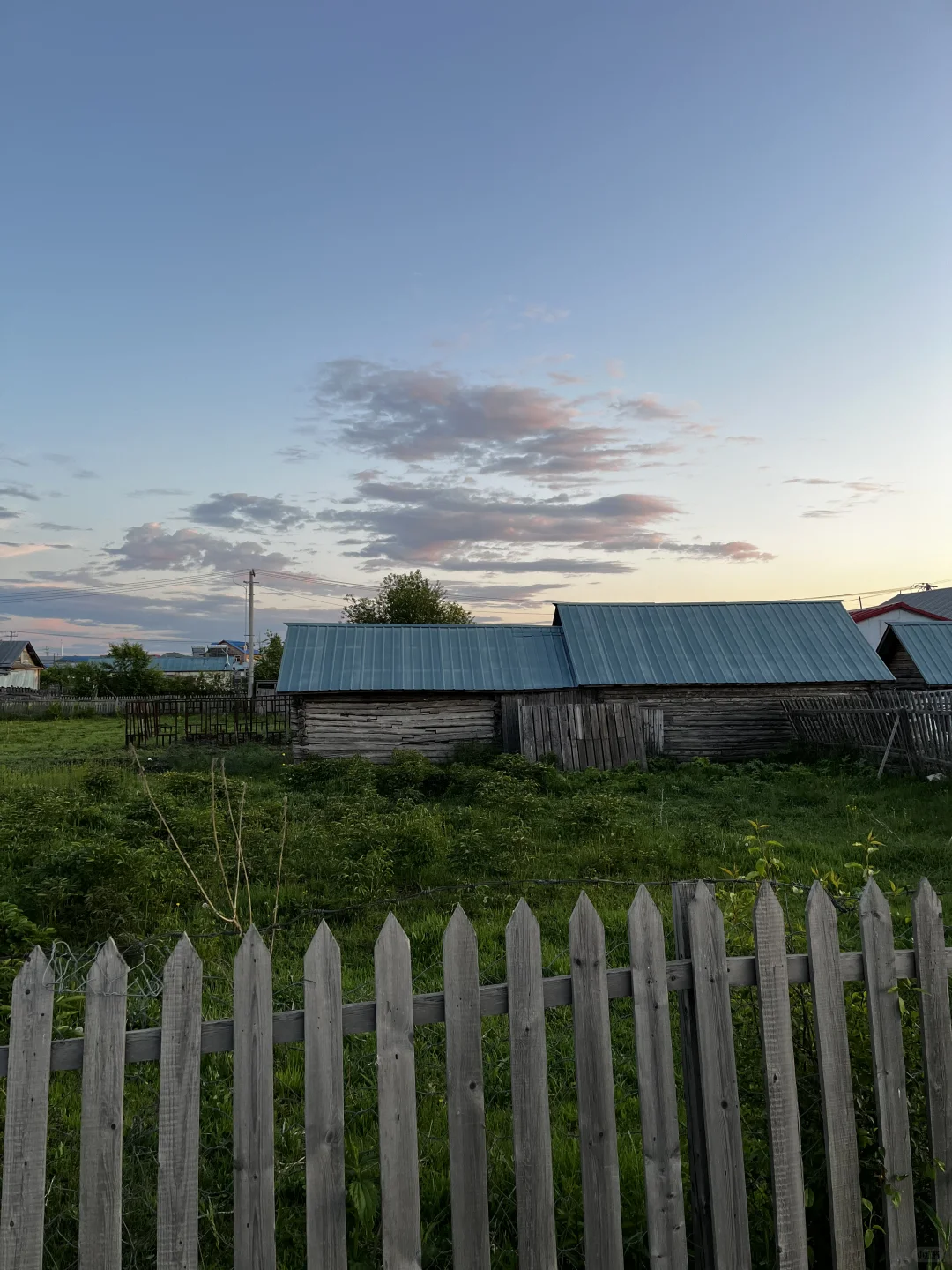 大学生一个人公共交通游呼伦贝尔攻略