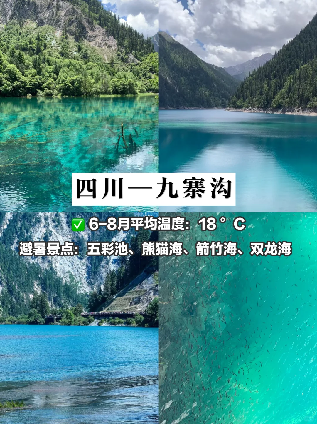 逃离高温❄️国内最凉快自带空调的旅游圣地‼️