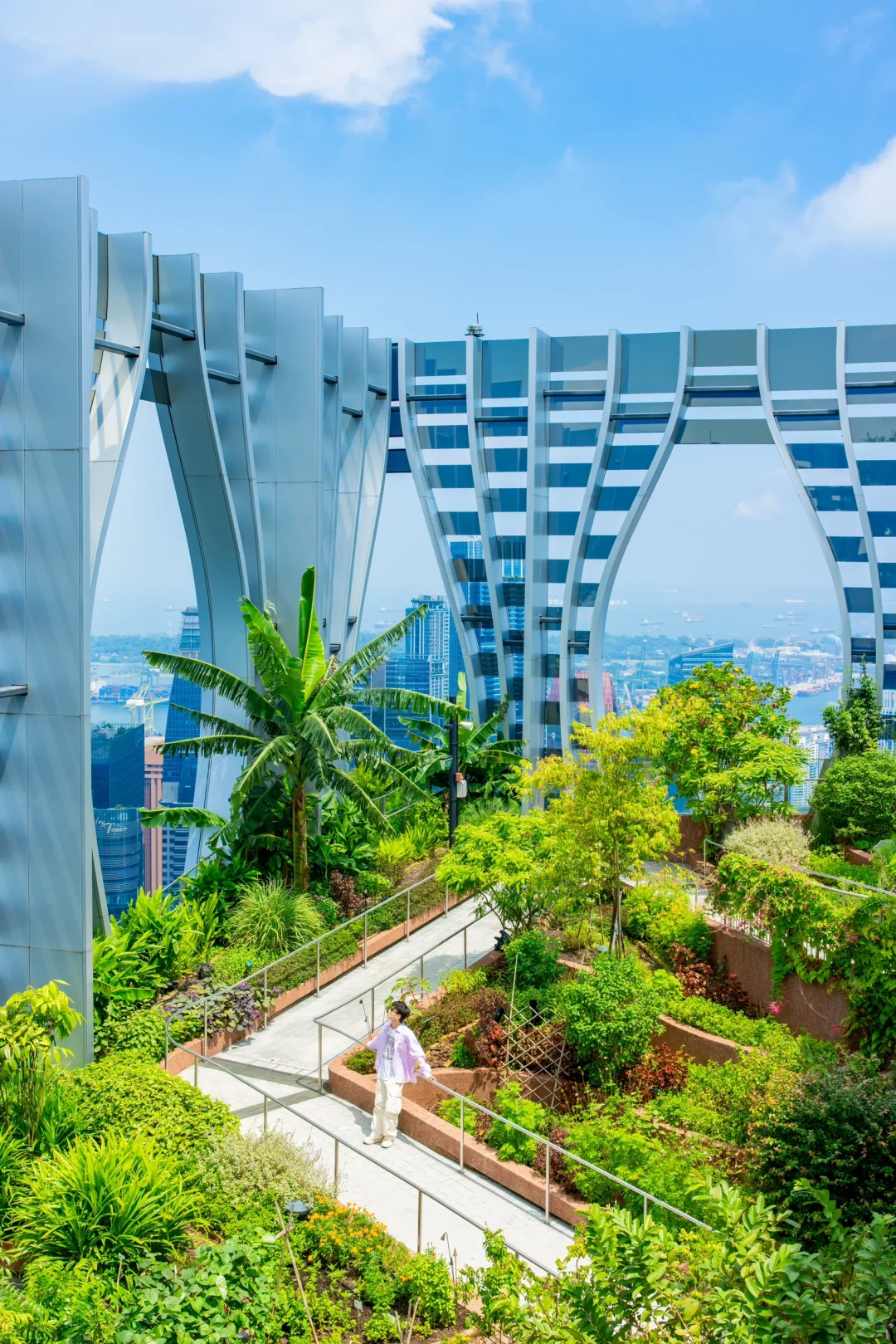 新加坡Citywalk的照片，发朋友圈被问疯了‼️