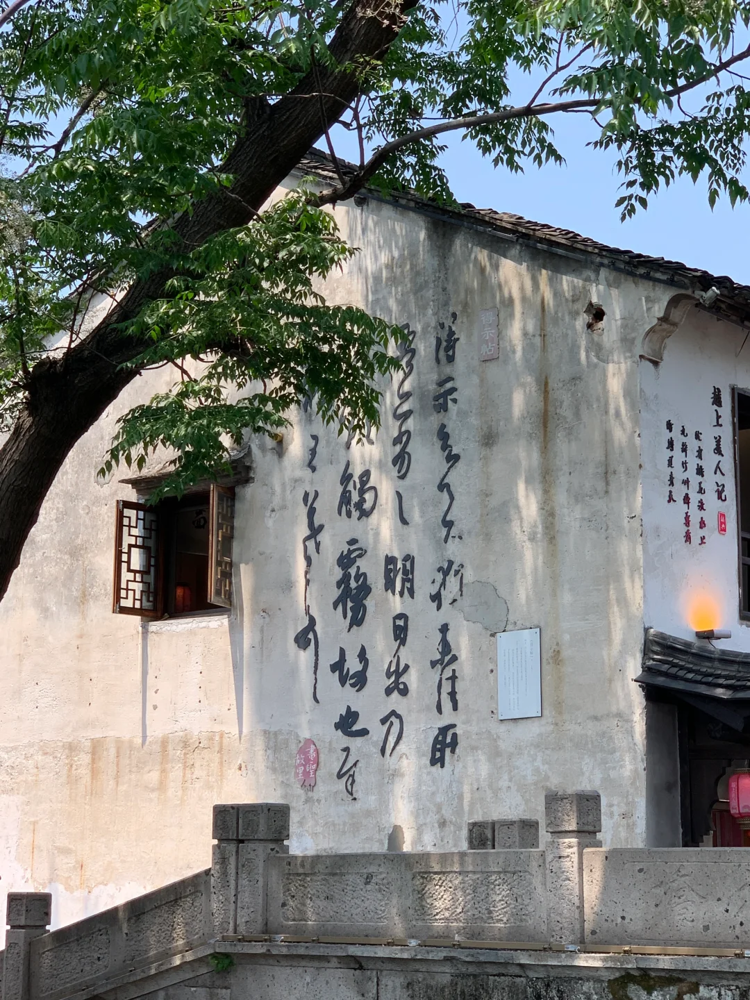 迅哥儿，你家好美🥹