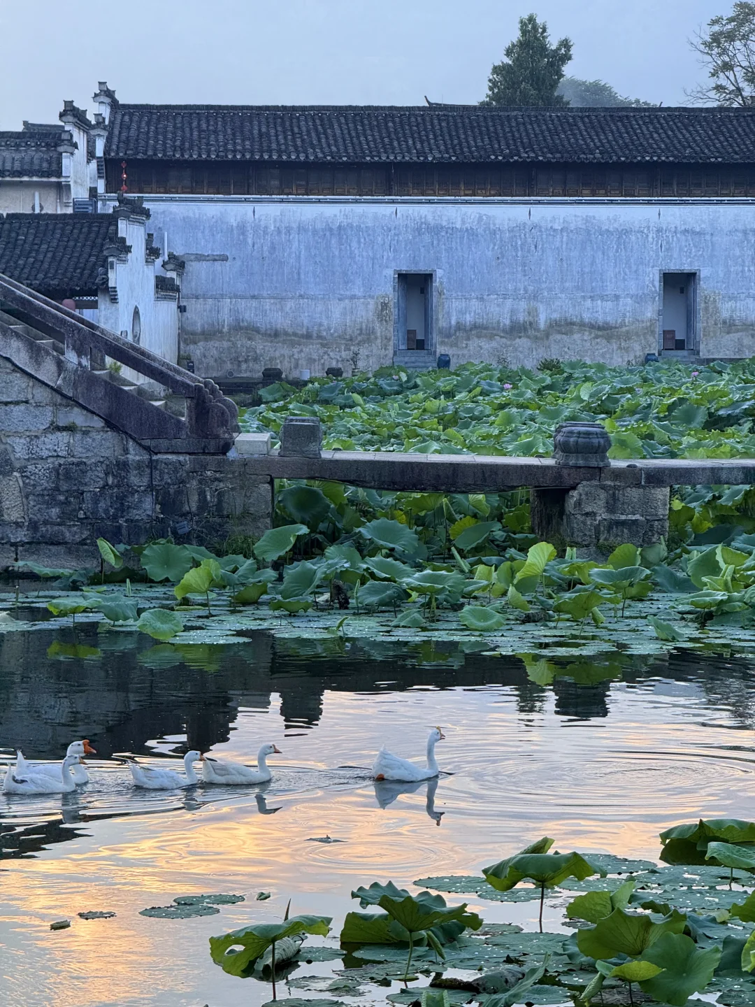 早晨的呈坎