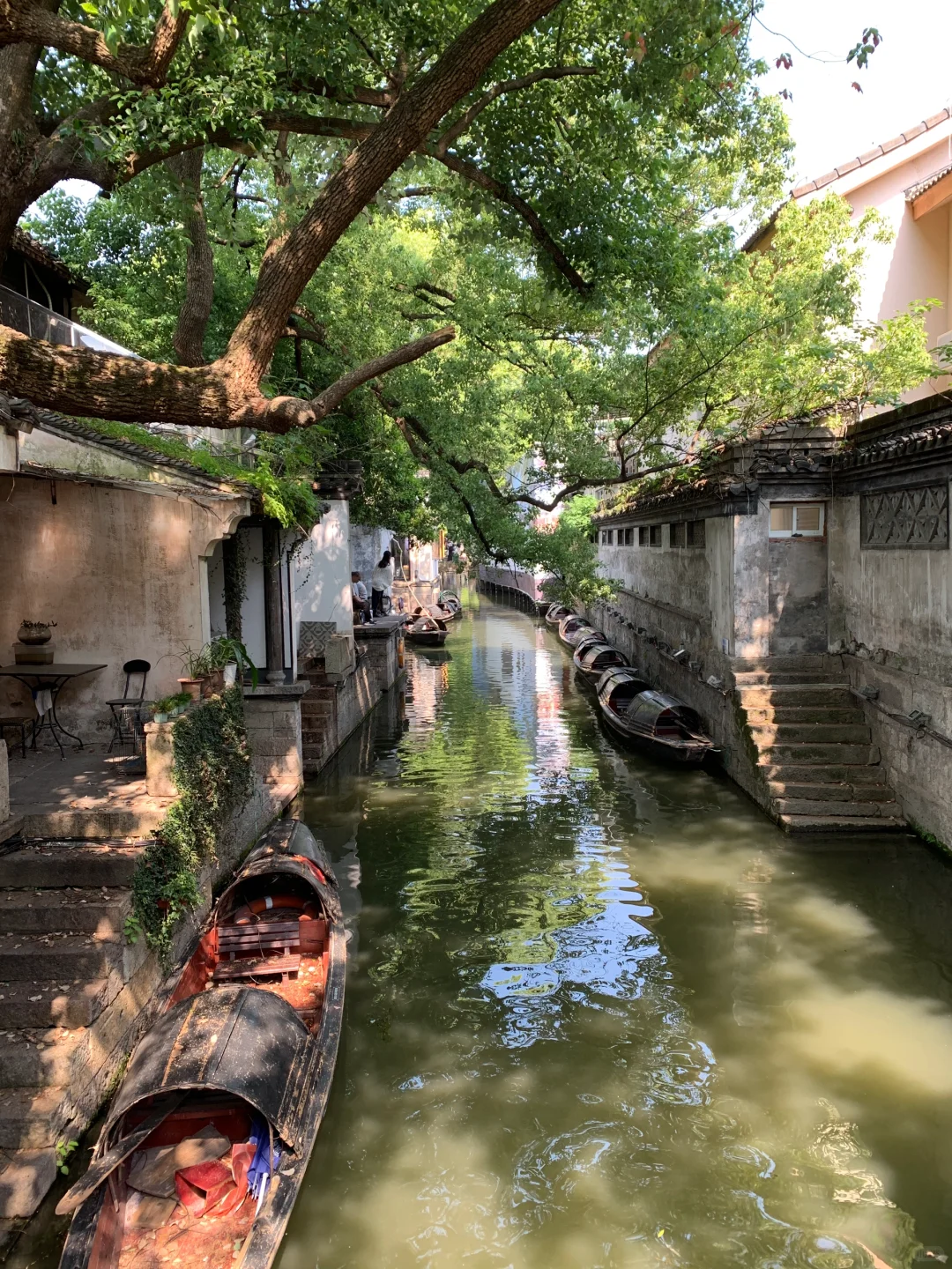 迅哥儿，你家好美🥹