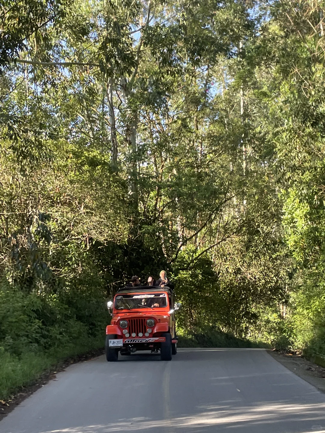 23岁一个人来到离中国最远的地球另一端🌍🎒