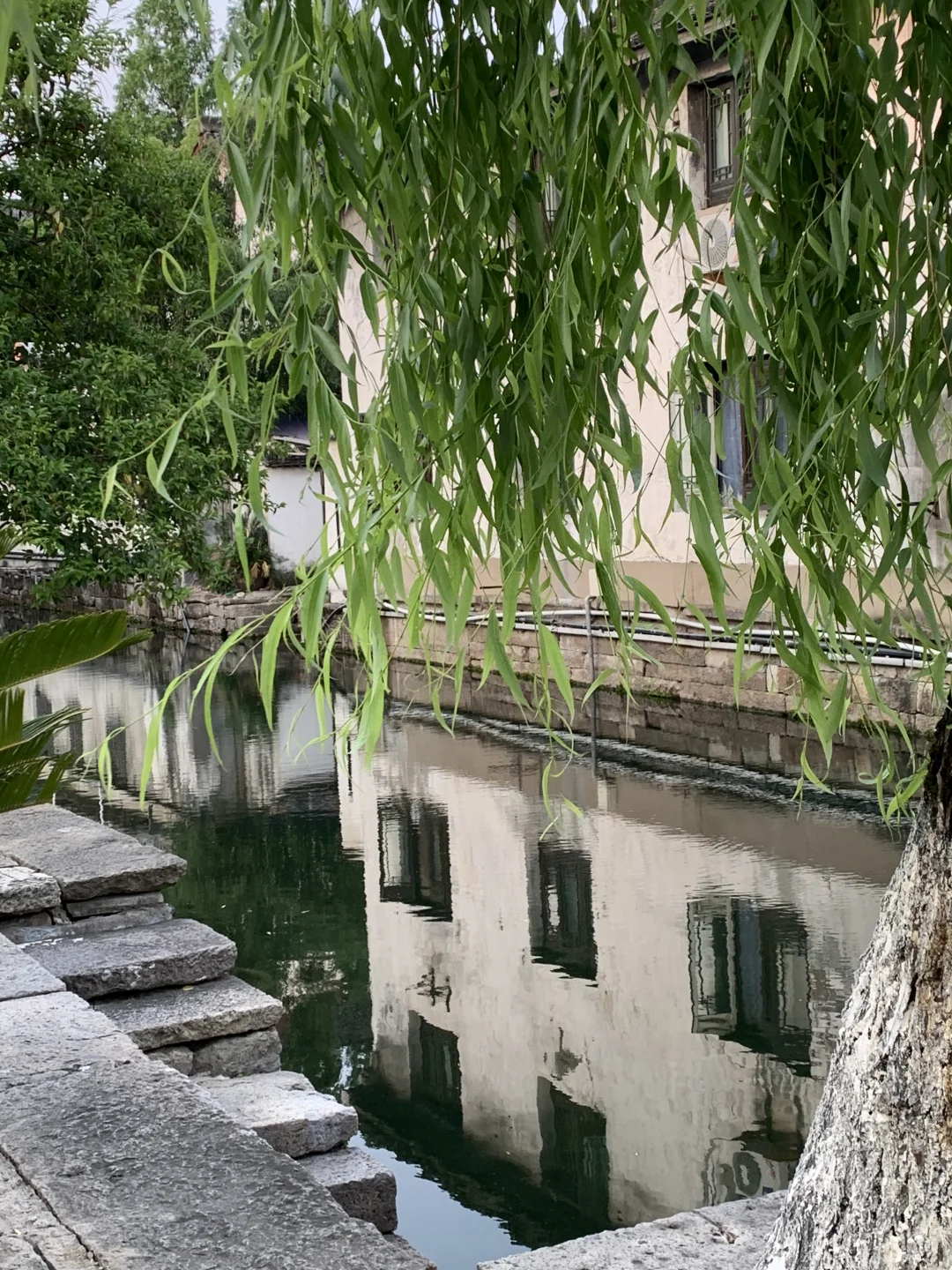 迅哥儿，你家好美🥹