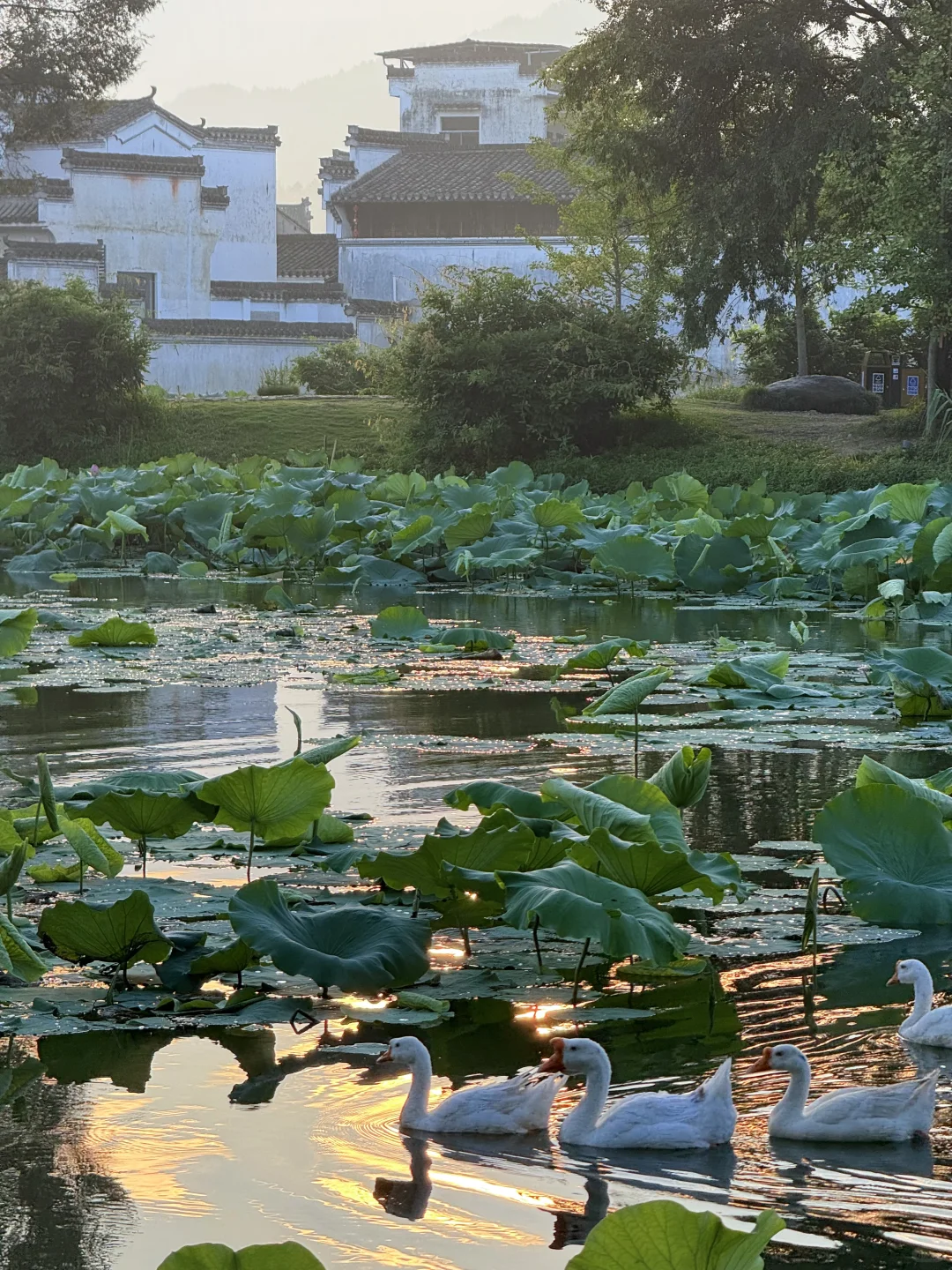 早晨的呈坎