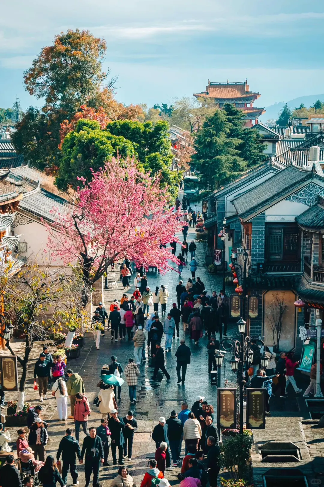 这个暑假，一定要来云南感受一下四季如春