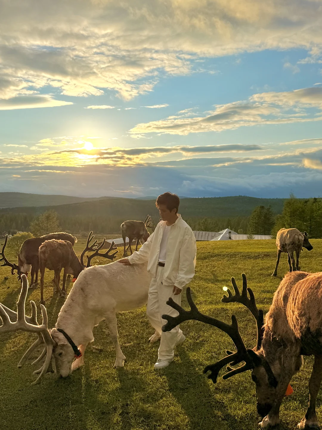 Live实拍❗️初夏的内蒙古才是人间理想❗️