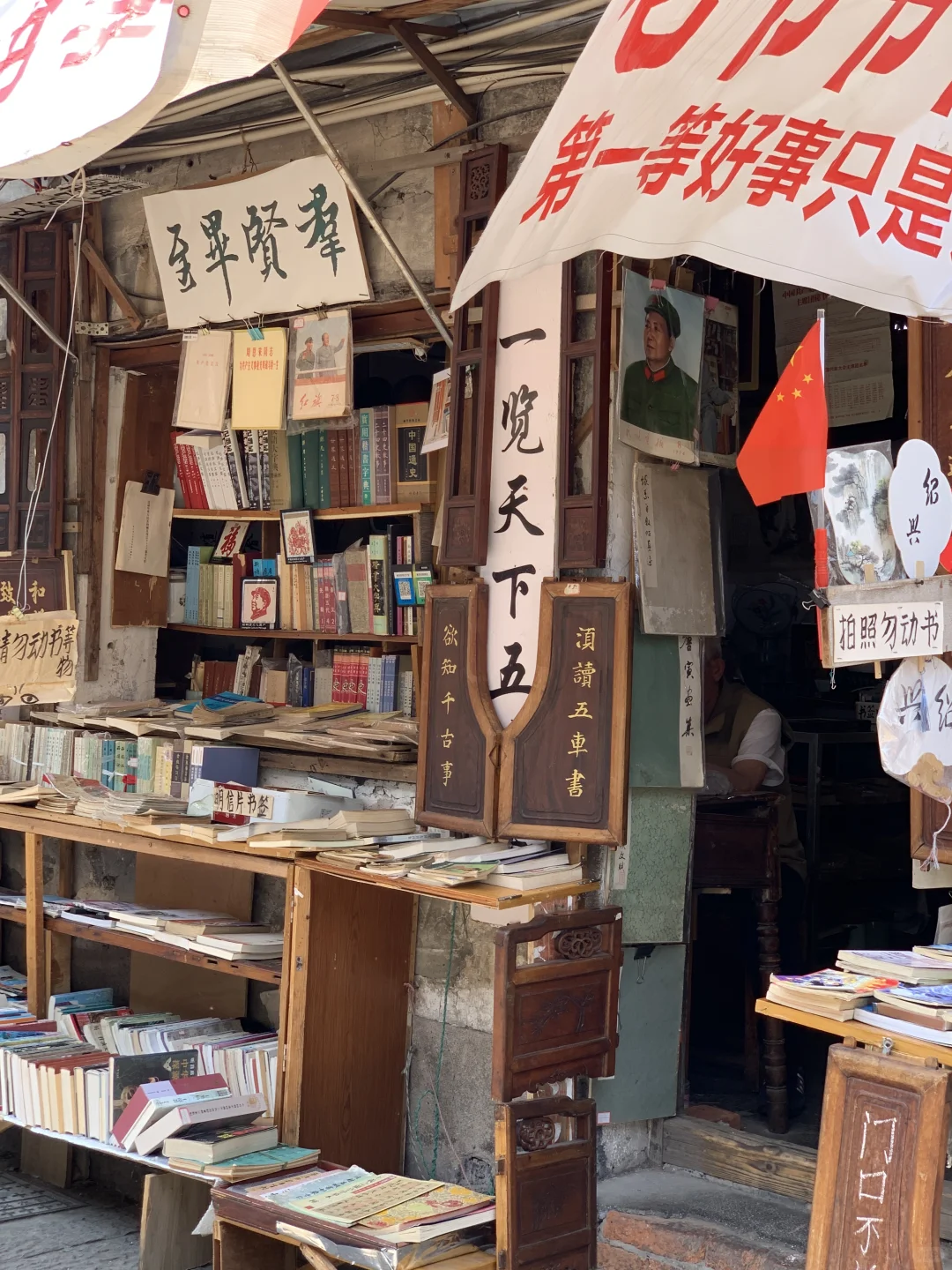 迅哥儿，你家好美🥹