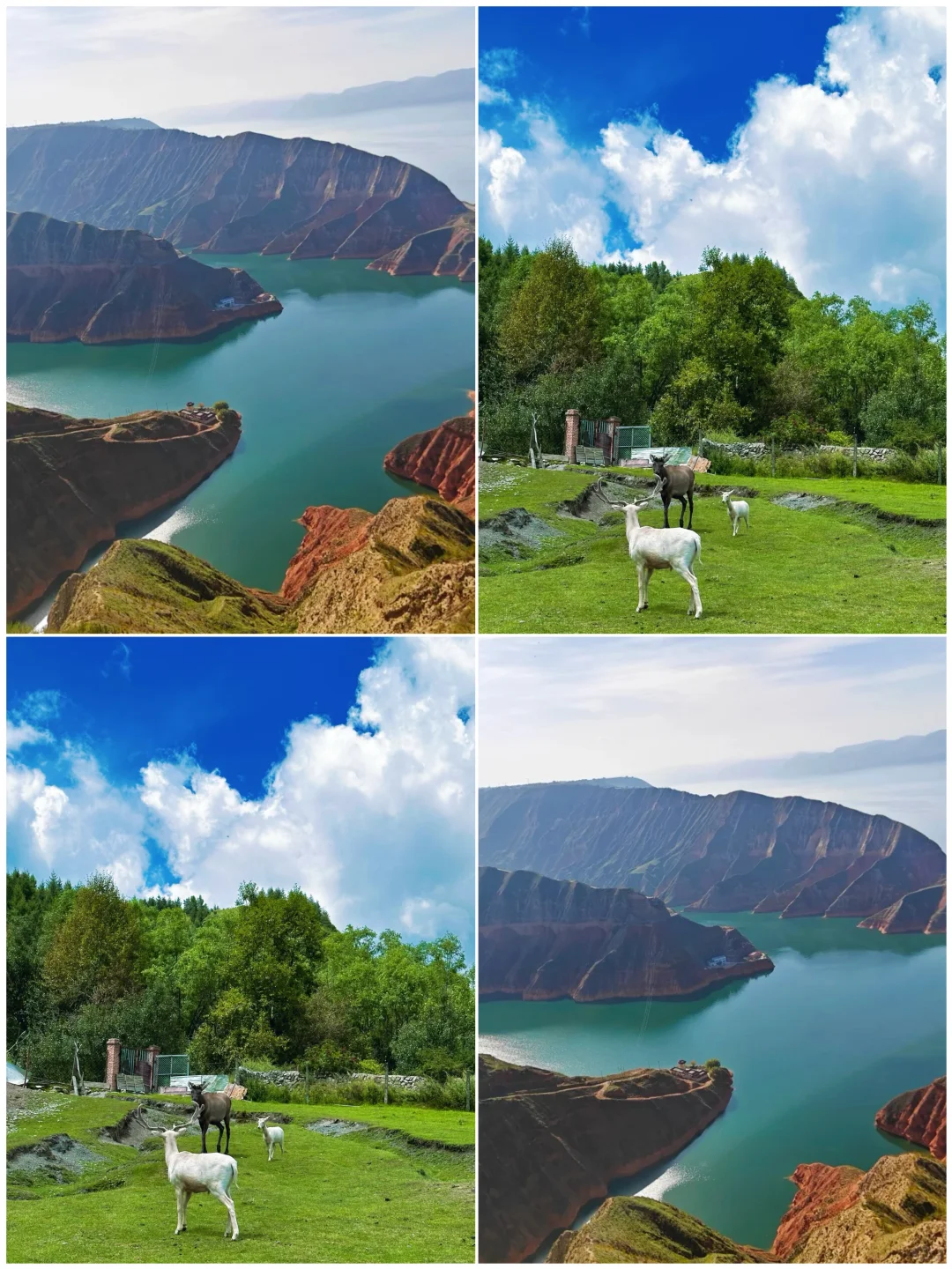 7-8月避暑胜地必冲❗️奔赴19°C的夏天