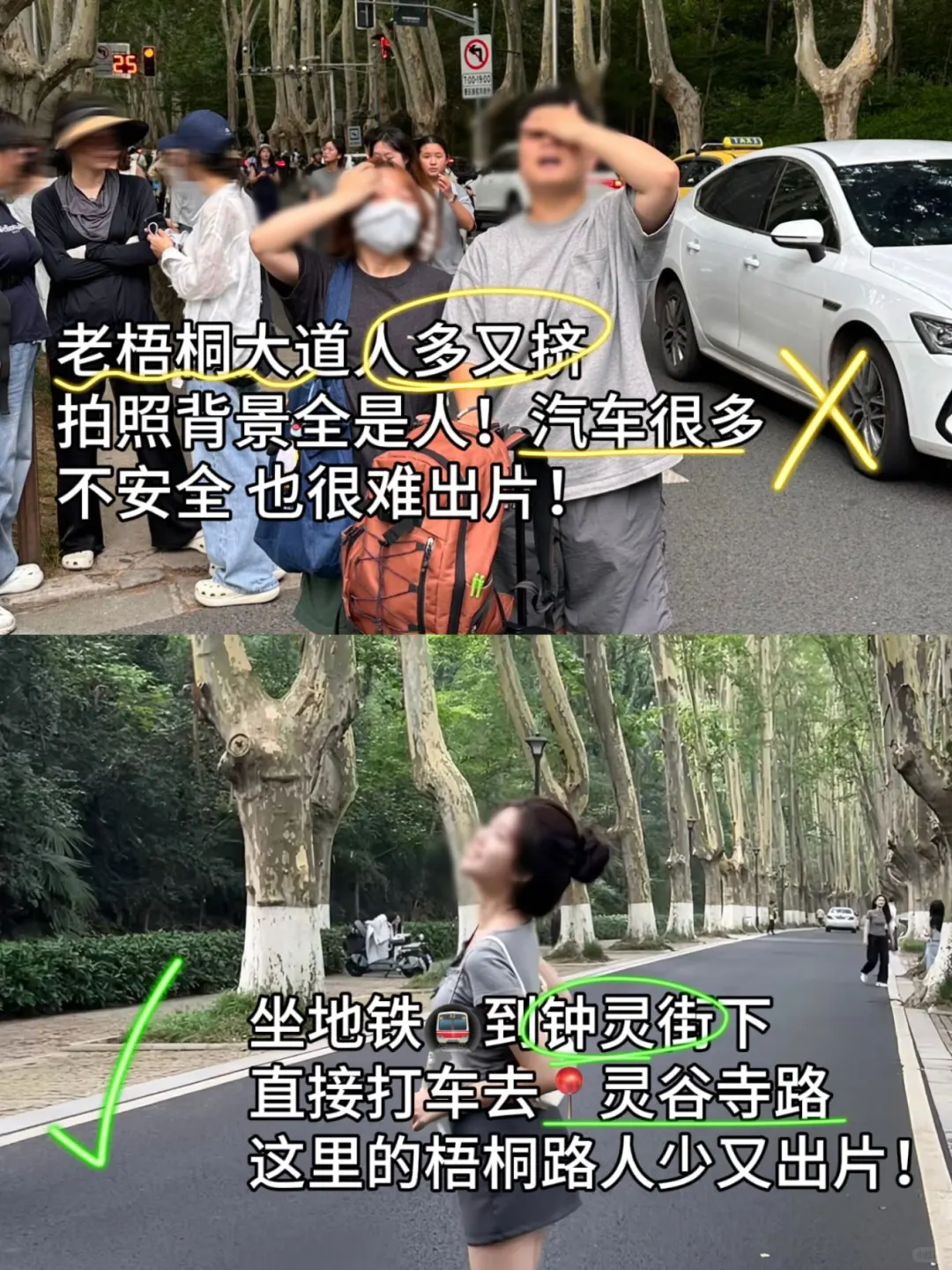 南京钟山风景区夏日轻松玩法，看这篇就够啦