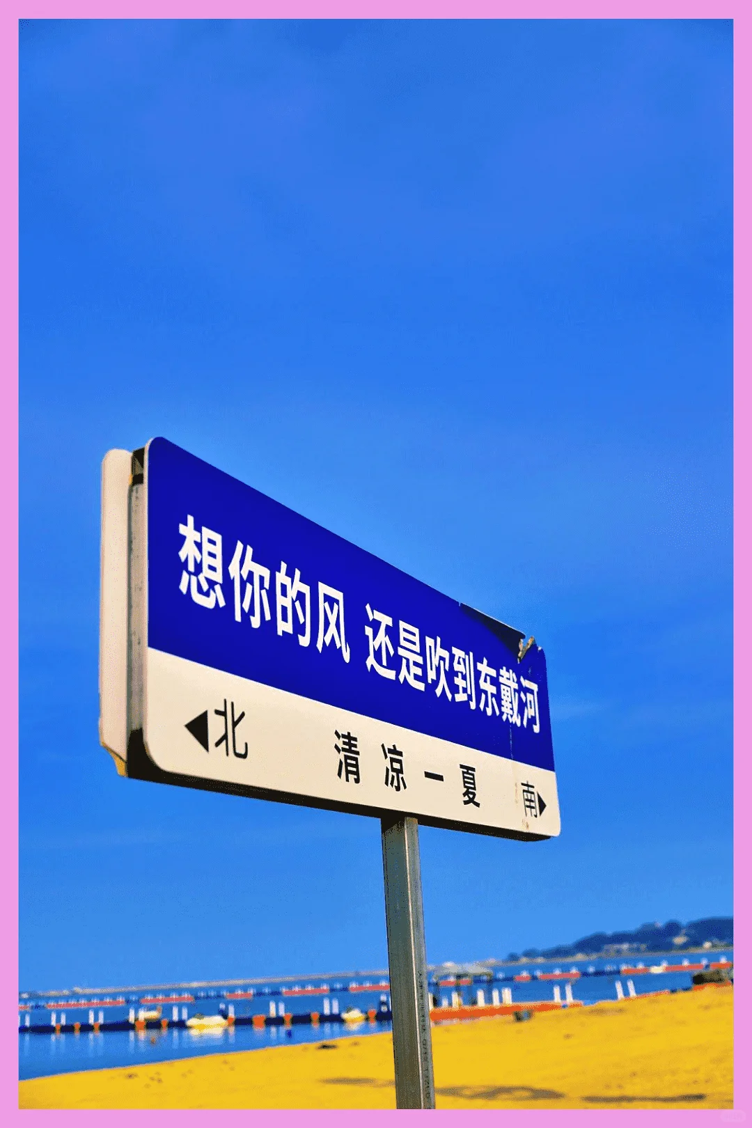 东戴河归来,句句属实