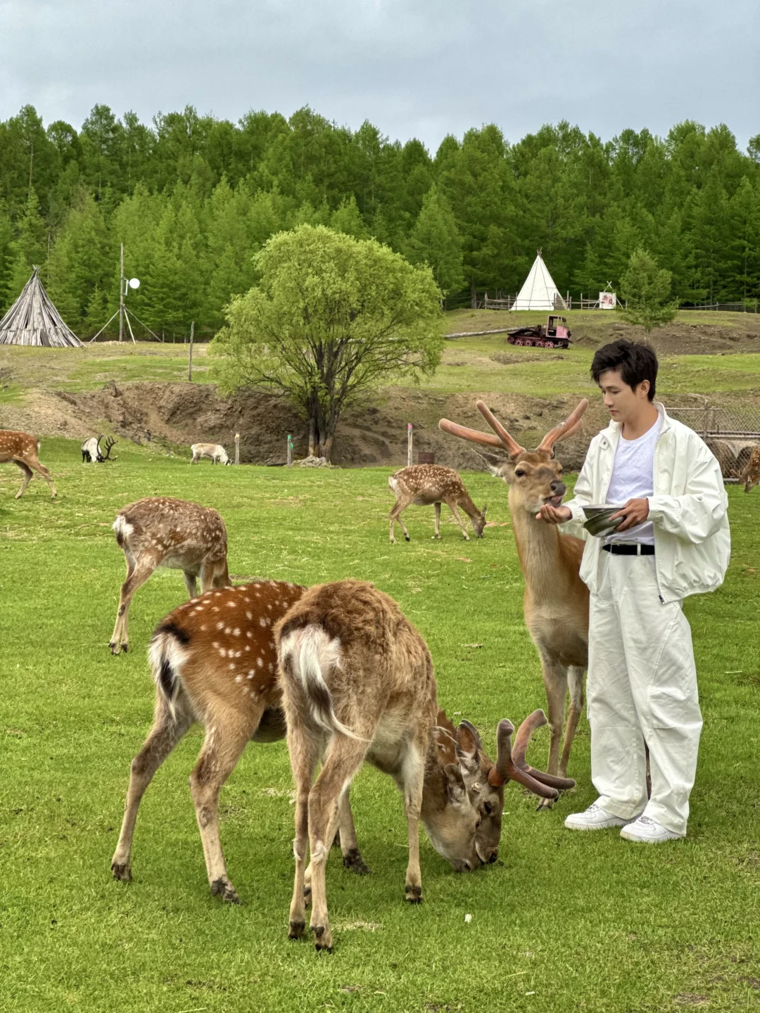 Live实拍❗️初夏的内蒙古才是人间理想❗️