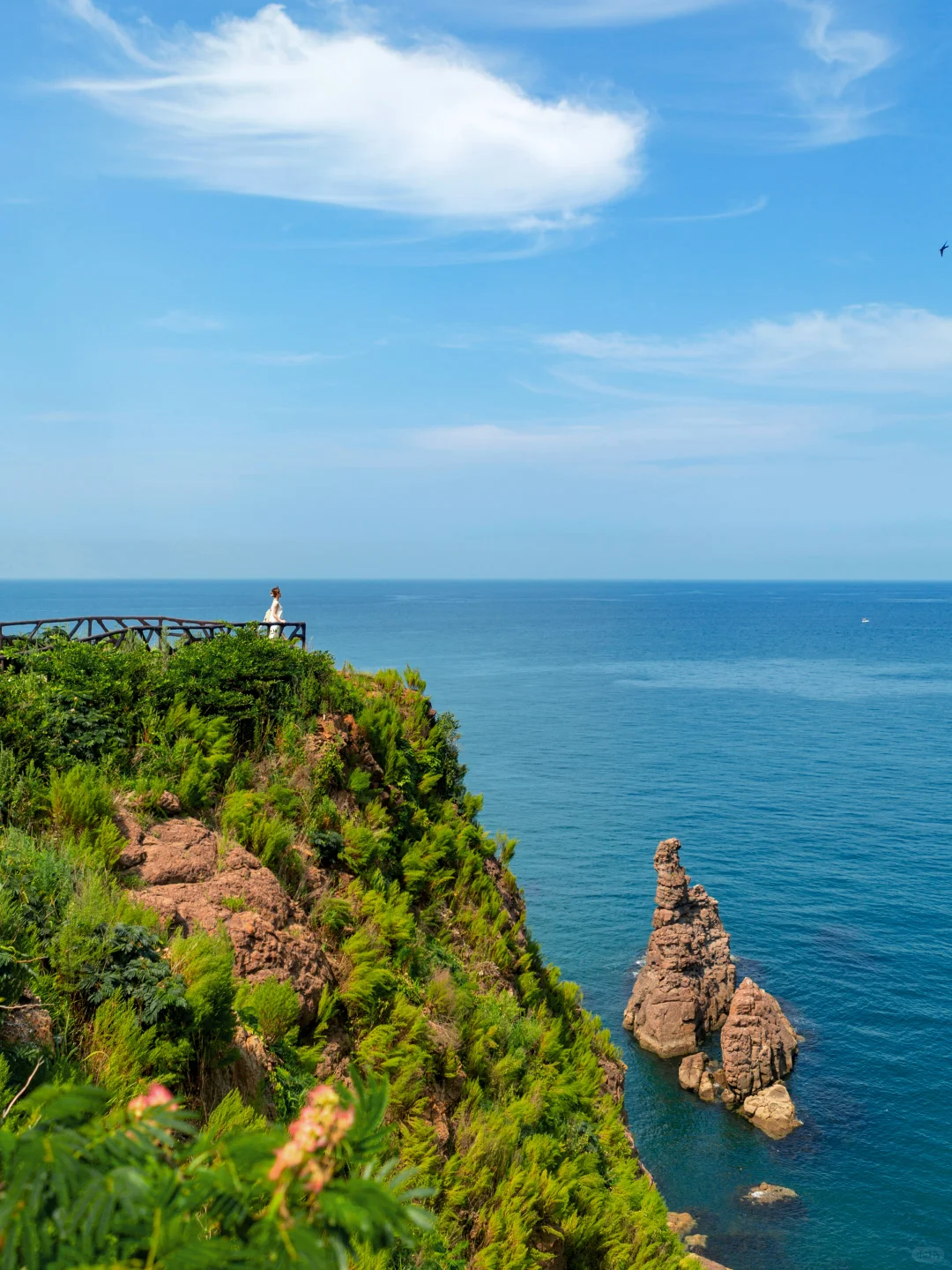 这个夏天把威海拍成了动漫里的世界❗️