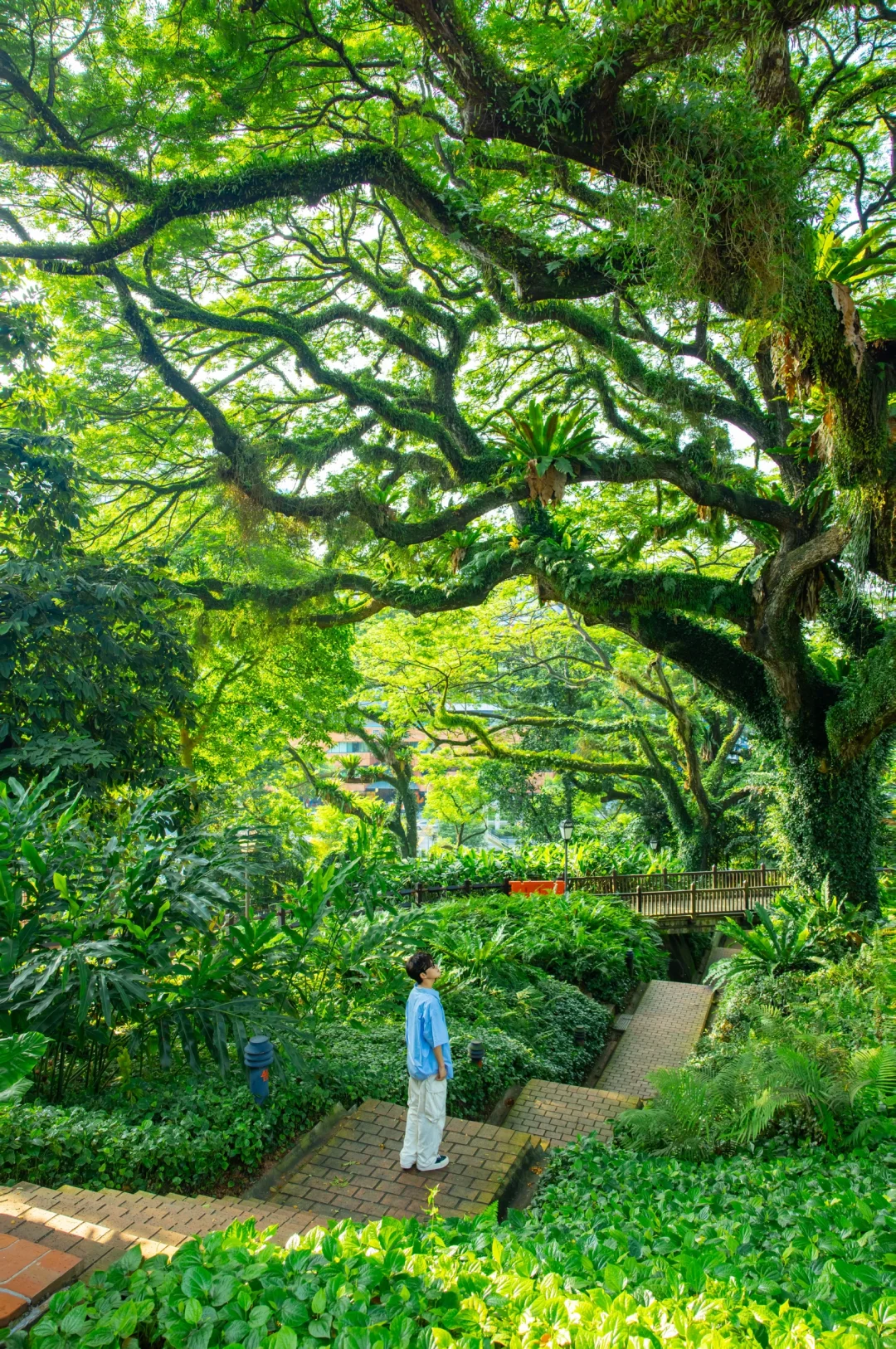 新加坡Citywalk的照片，发朋友圈被问疯了‼️