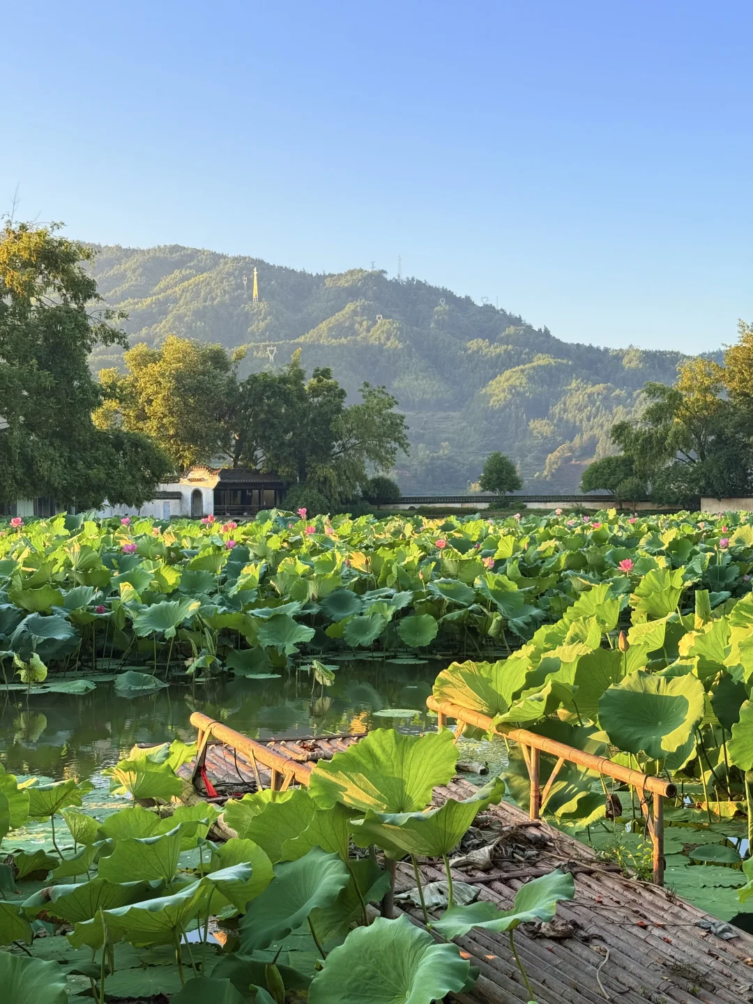 早晨的呈坎